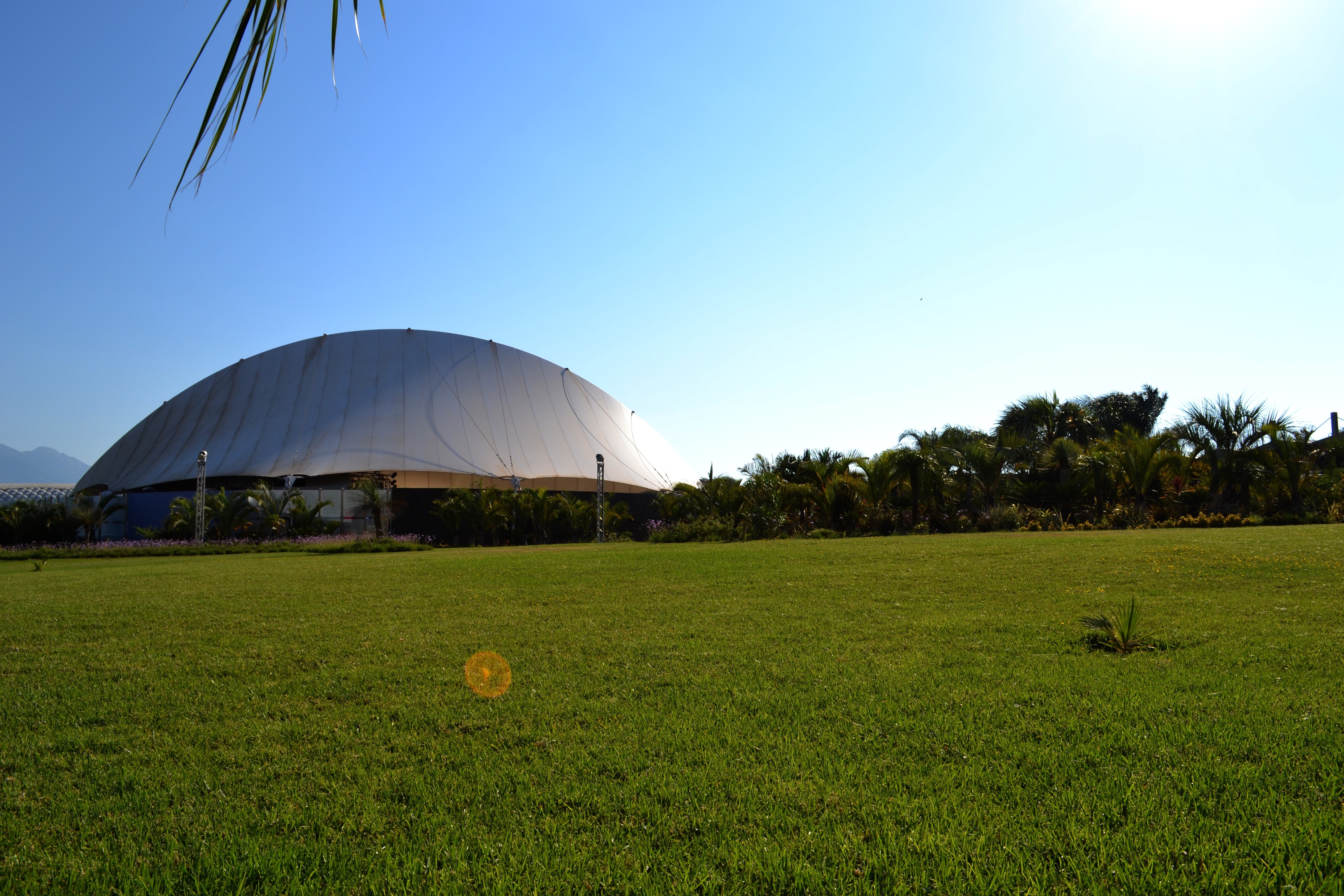 Large dome building with palm trees and green field HD Wallpaper