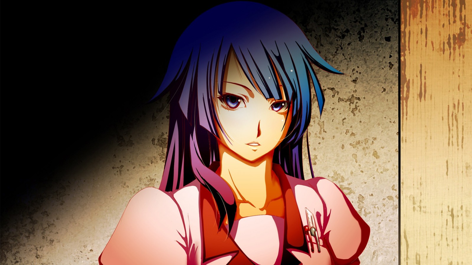 Senjougahara Hitagi from Monogatari Series HD Wallpaper