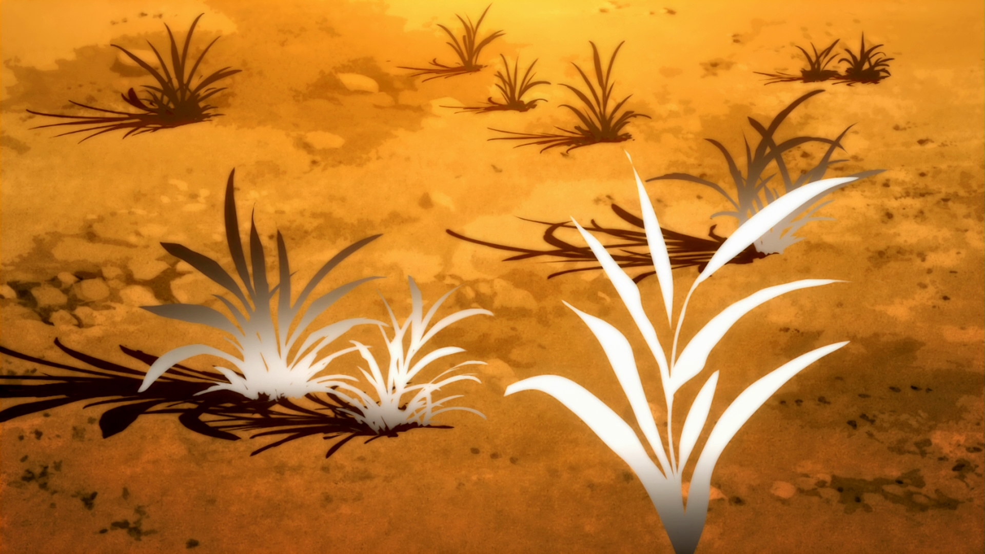 Plants casting shadows on a dry, orange ground HD Wallpaper