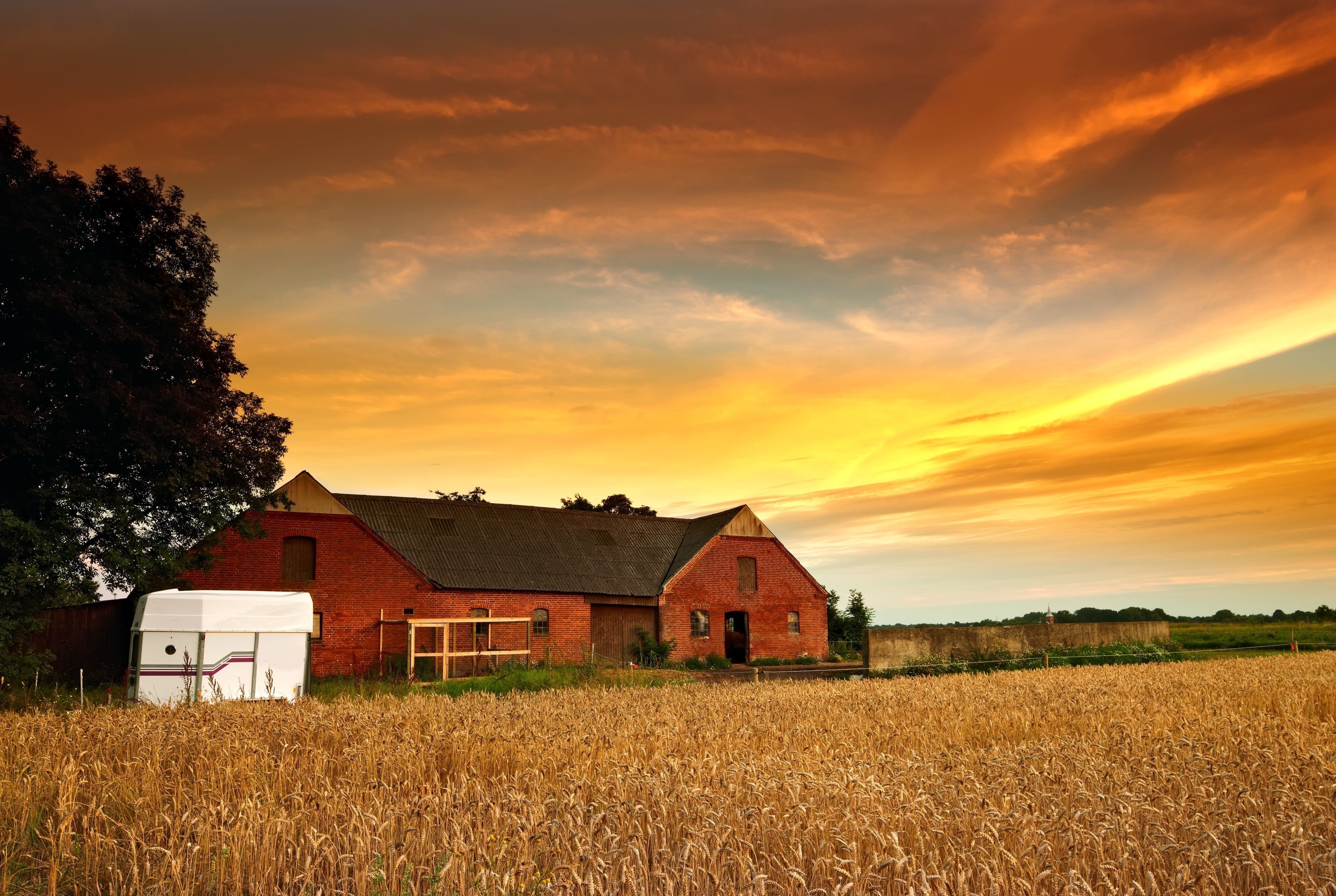 Farmhouse and wheat field at sunset HD Wallpaper