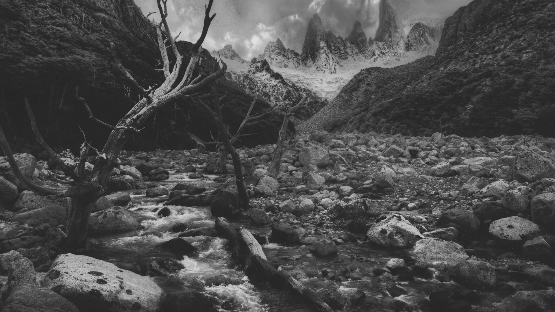 Monochrome mountain landscape with dead trees and river HD Wallpaper