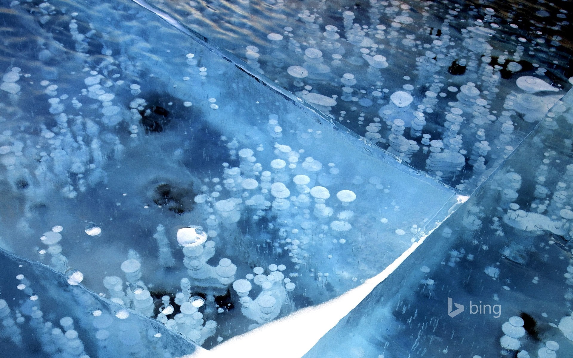 Frozen lake with trapped air bubbles HD Wallpaper