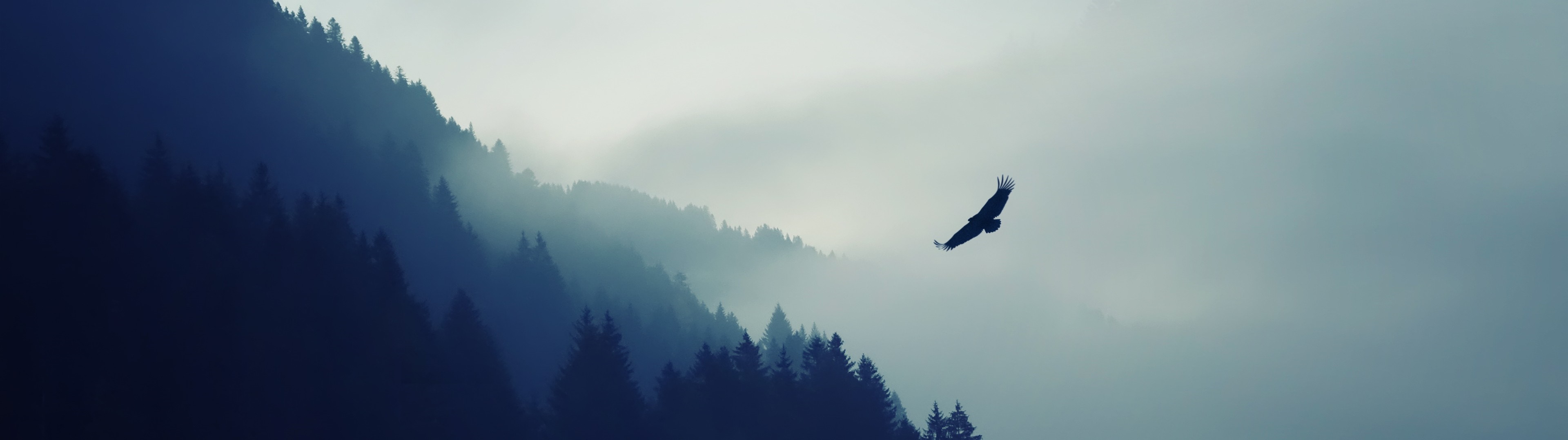 Eagle flying over misty mountains HD Wallpaper