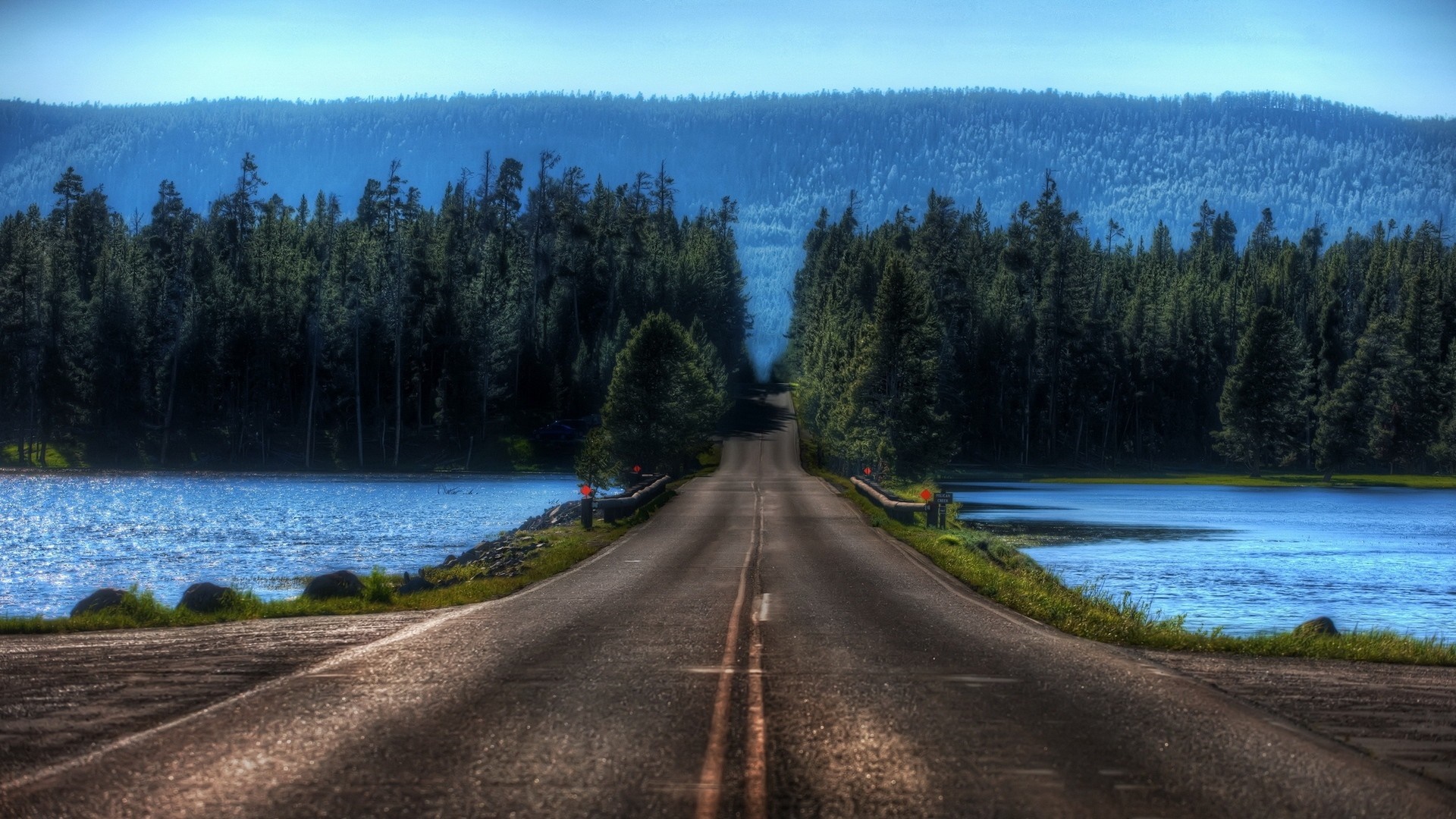Road through a forest next to a lake HD Wallpaper