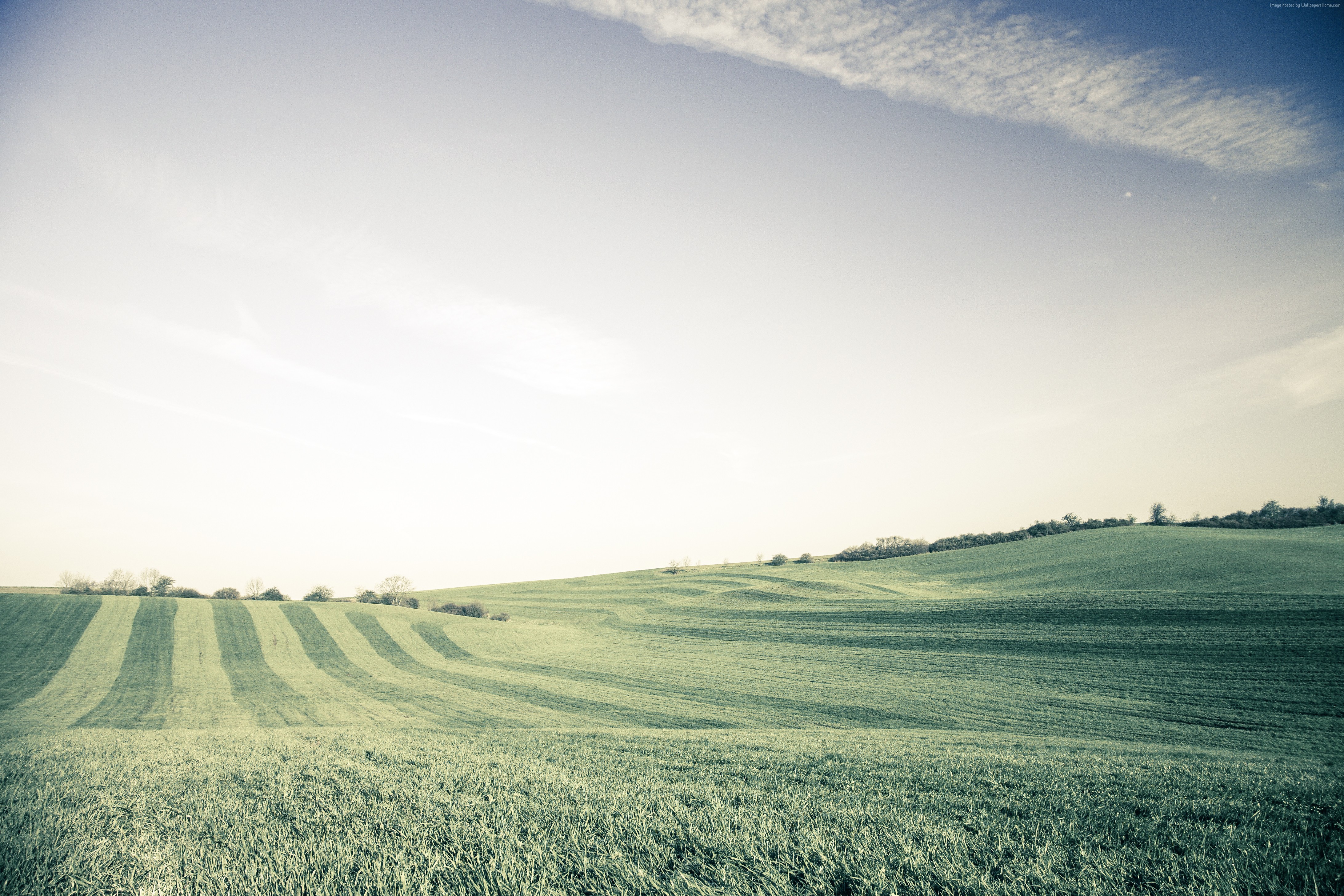 Green Meadows in Ansbach, Germany 4K HD Wallpaper