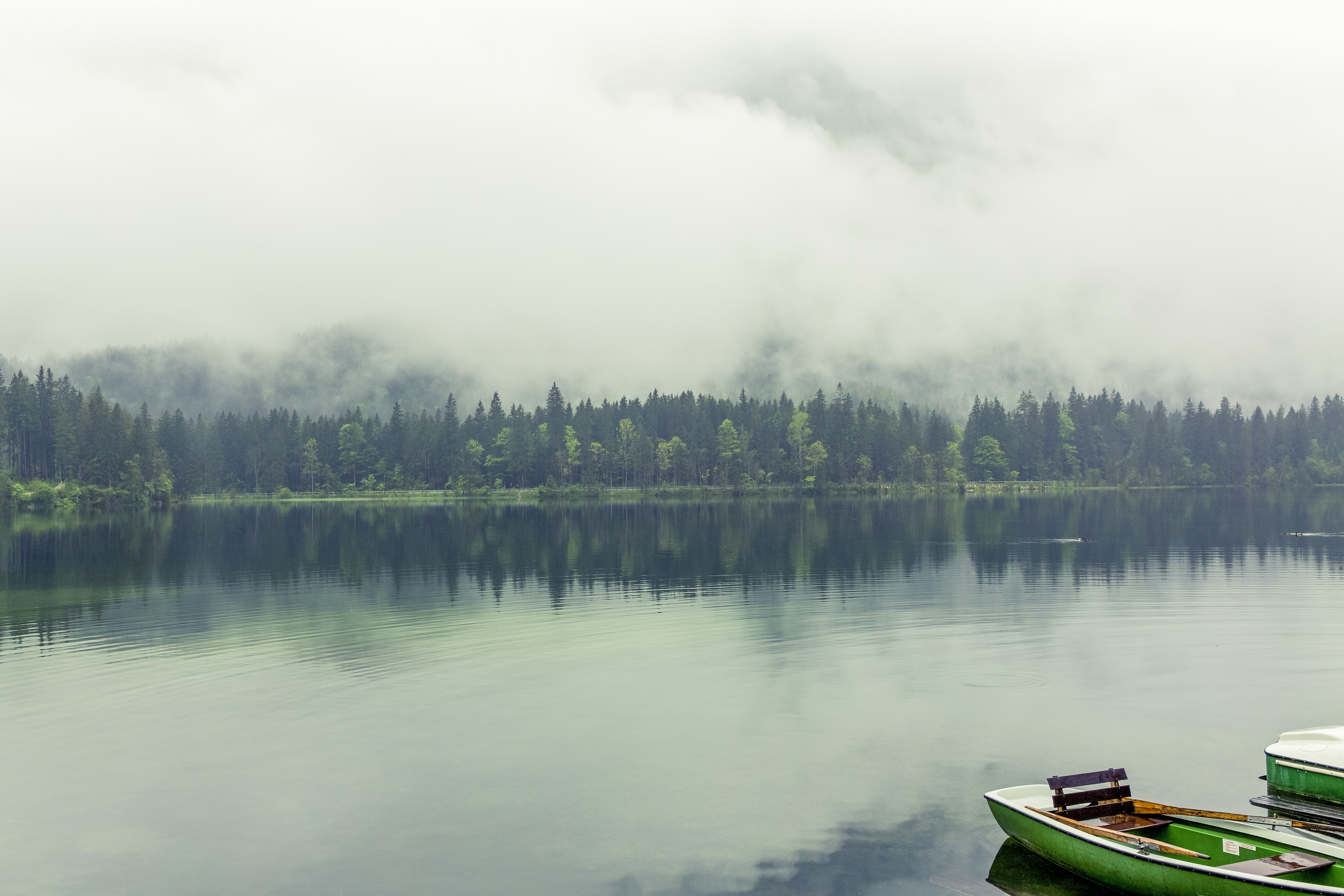 Bavaria, 4k, pines, lake, Germany, Berchtesgadener Land, 8k, 5k, fog HD Wallpaper