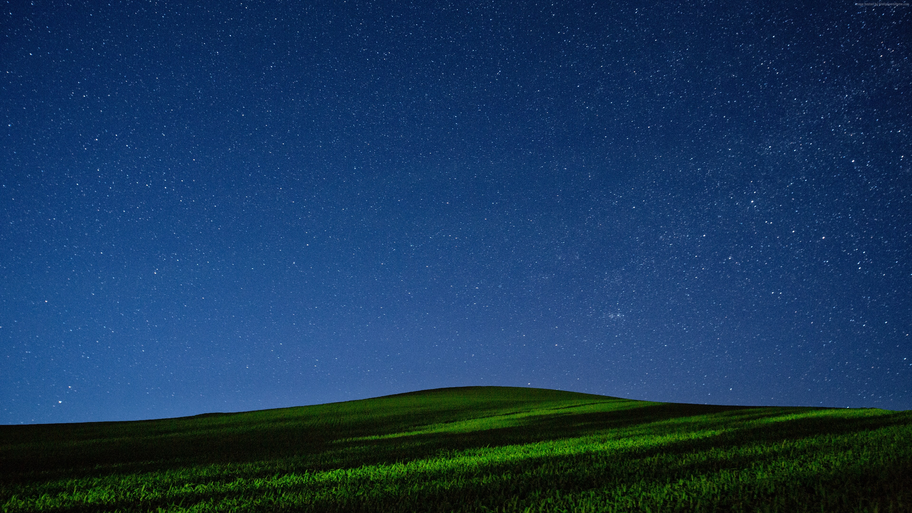 Night sky full of stars over a green meadow HD Wallpaper