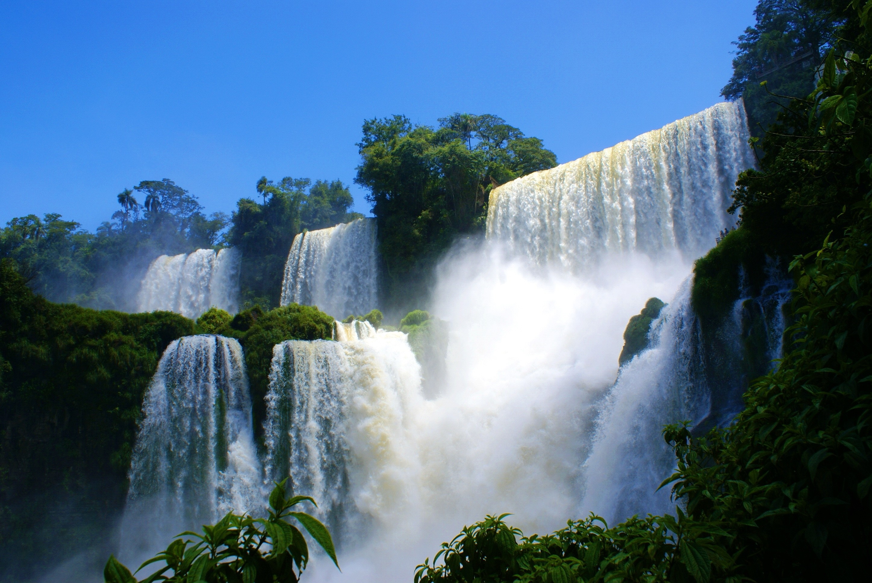 Iguazu Falls in a lush rainforest under a clear blue sky HD Wallpaper