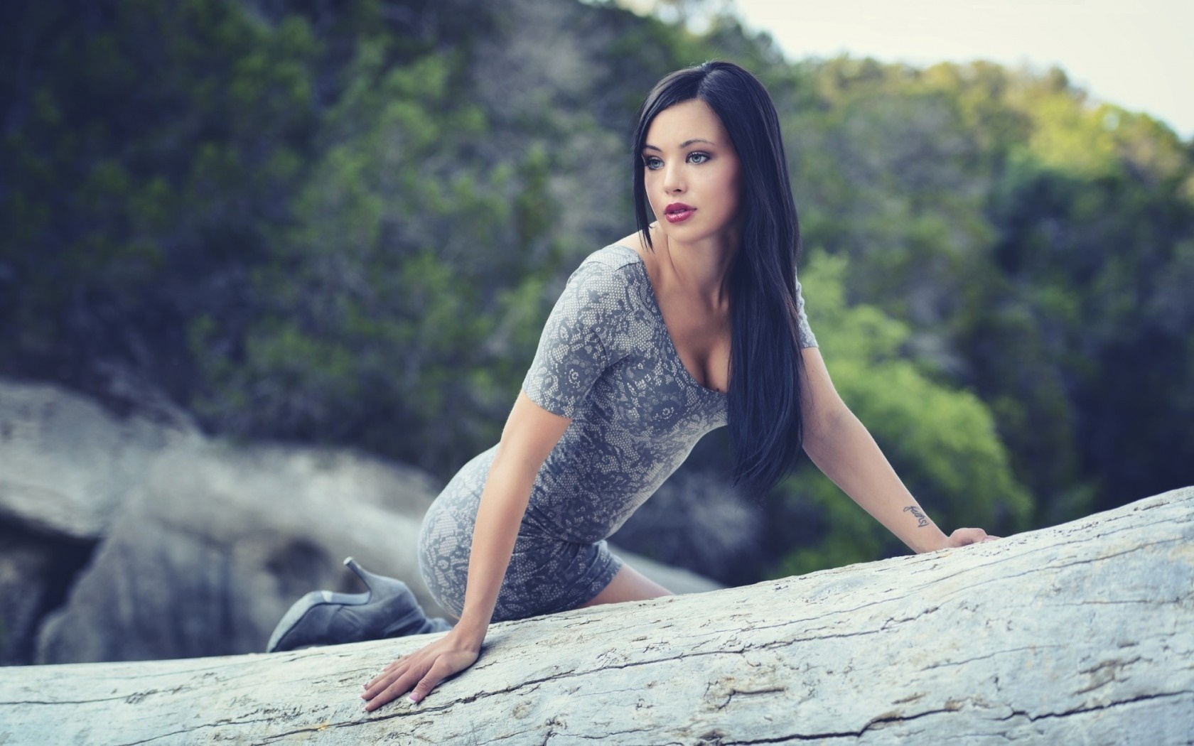 Woman in a dress posing on a log HD Wallpaper