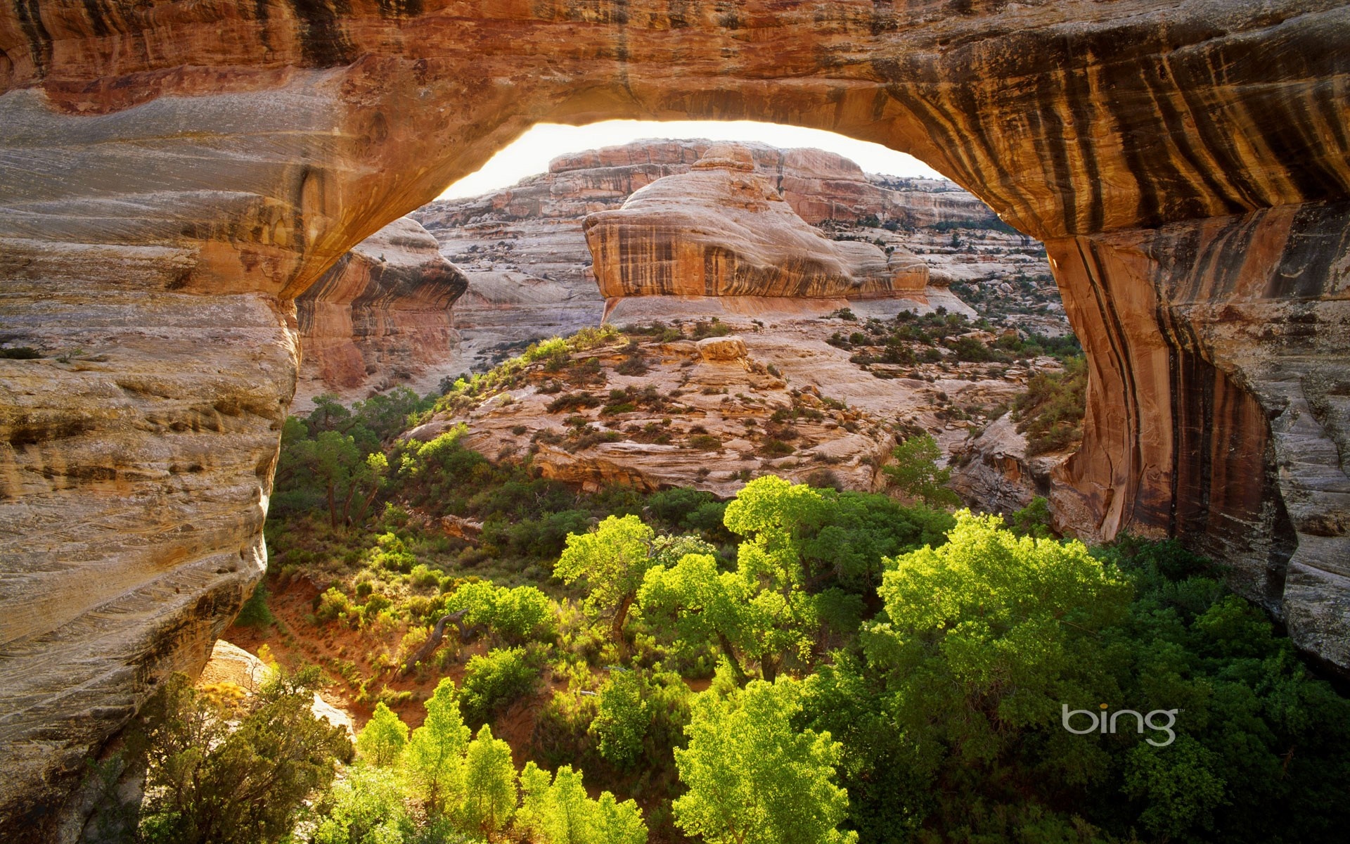 Natural Bridge Arch Overlooking Desert Canyon with Green Trees HD Wallpaper