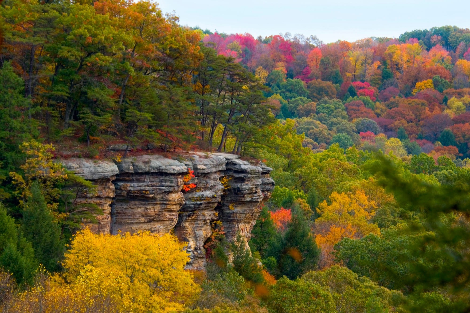 Autumn forest landscape with rocky cliffs HD Wallpaper