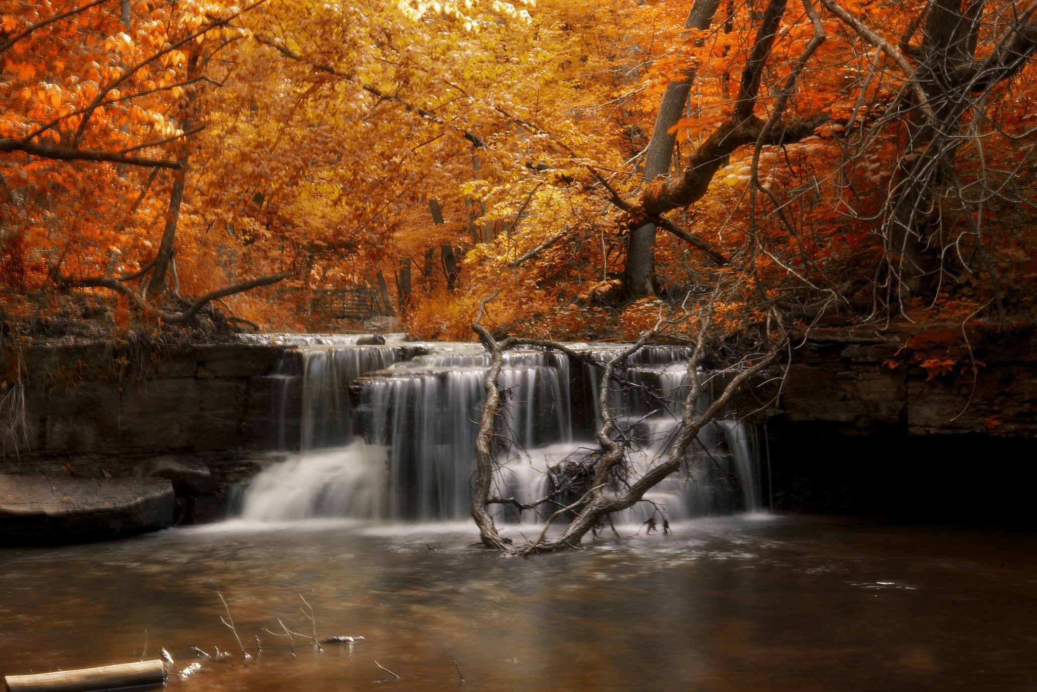 Autumn waterfall in a forest with orange leaves HD Wallpaper