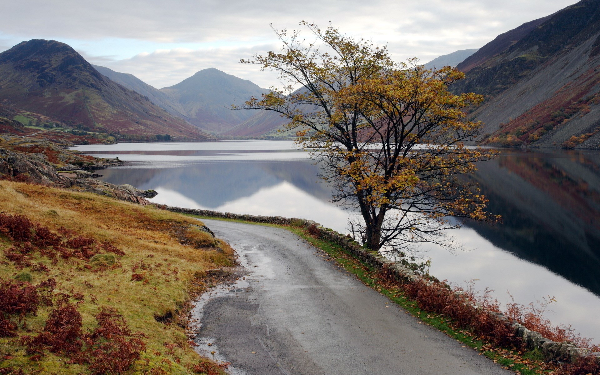Winding road by a lake with mountains and autumn tree HD Wallpaper