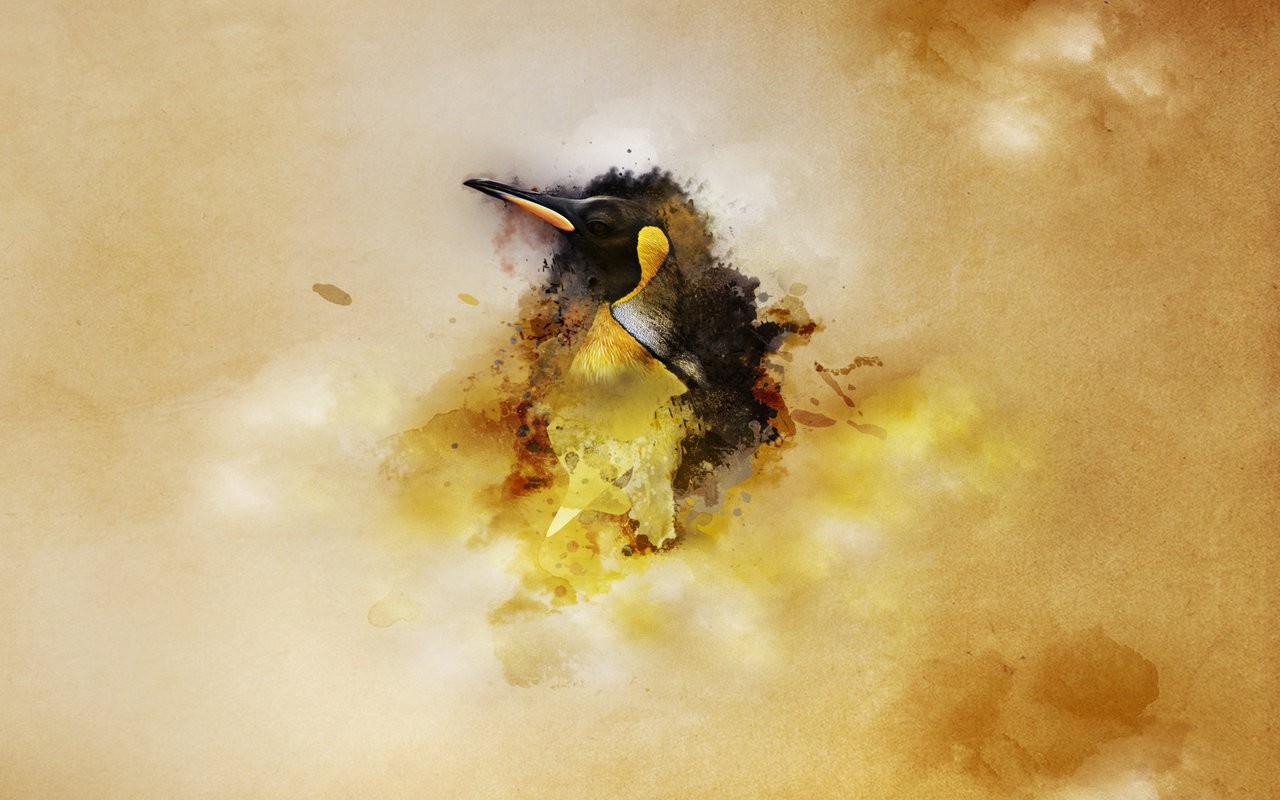 Watercolor painting of a king penguin HD Wallpaper