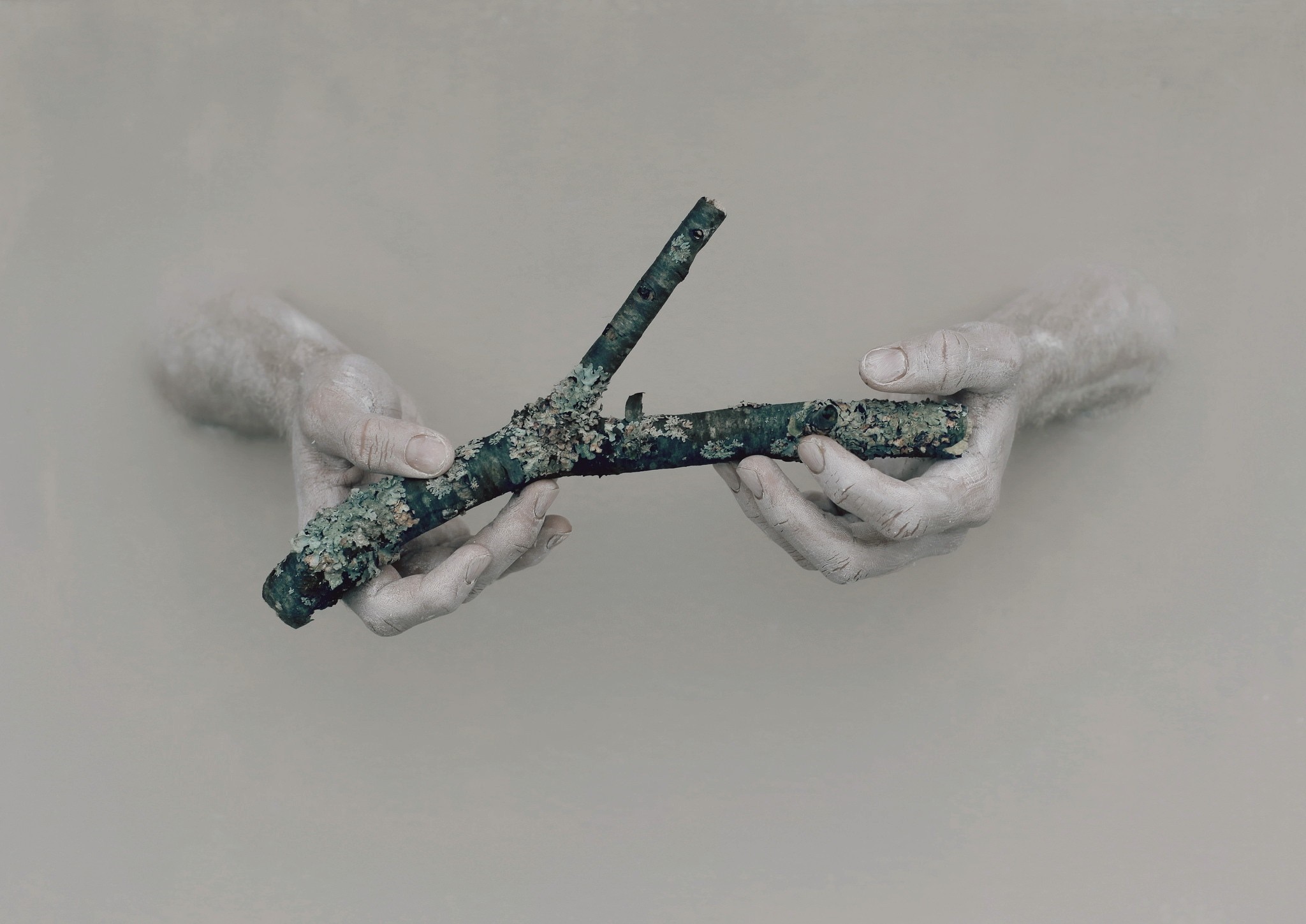 Hands holding a mossy branch in murky water HD Wallpaper