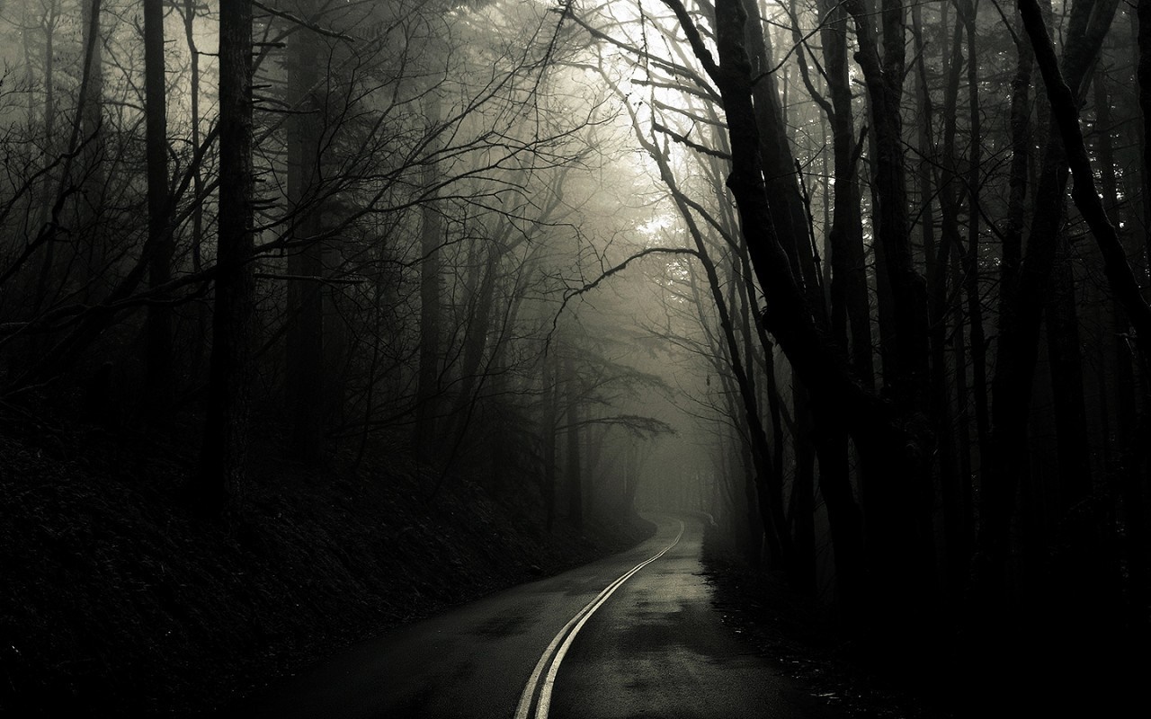 A winding road through a foggy, dark forest HD Wallpaper