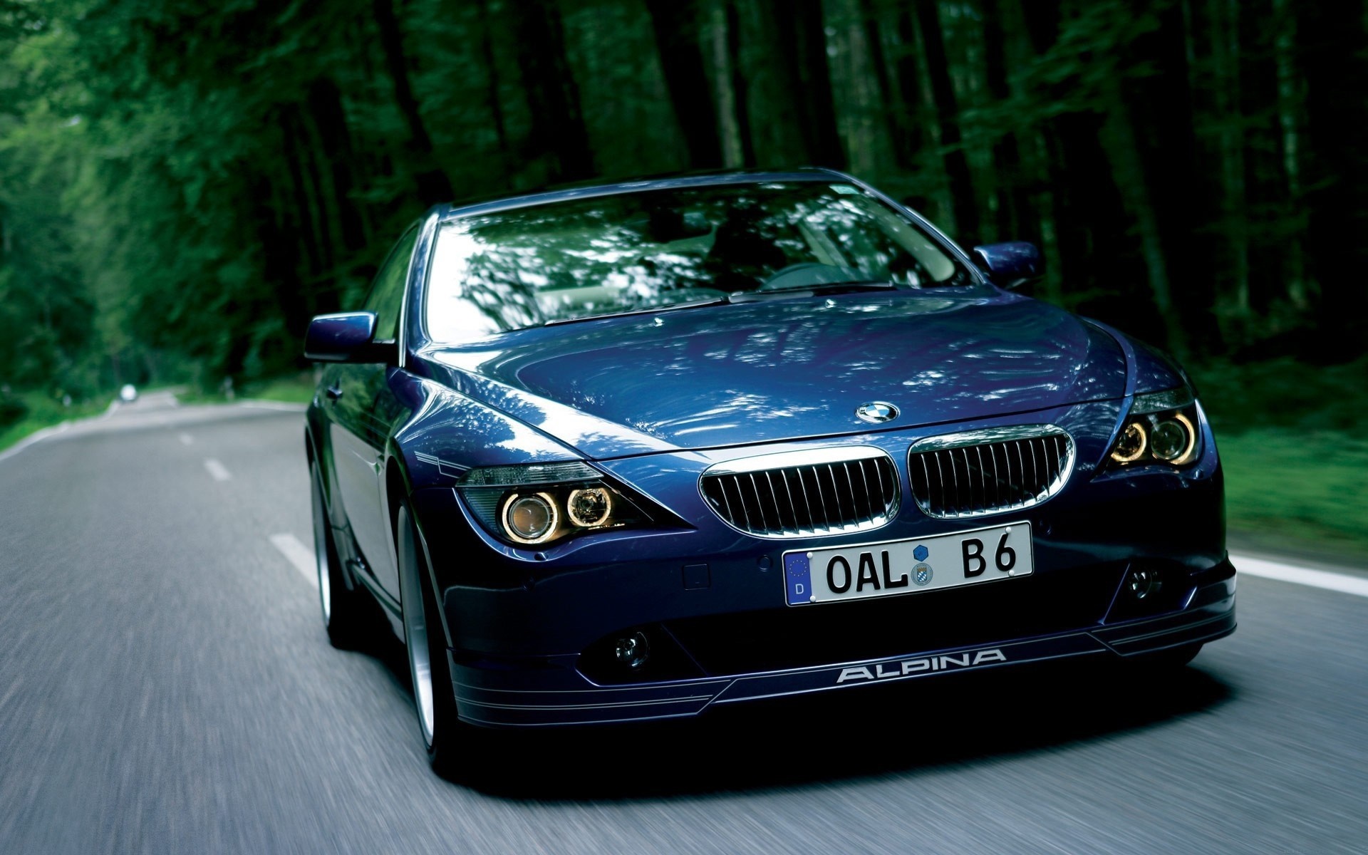 Blue Alpina B6 driving on a forest road HD Wallpaper