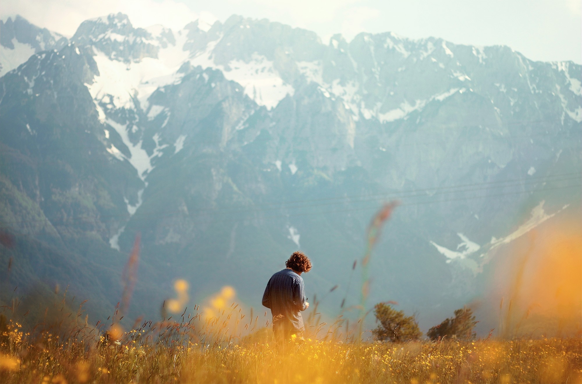 Person in a field with mountains HD Wallpaper