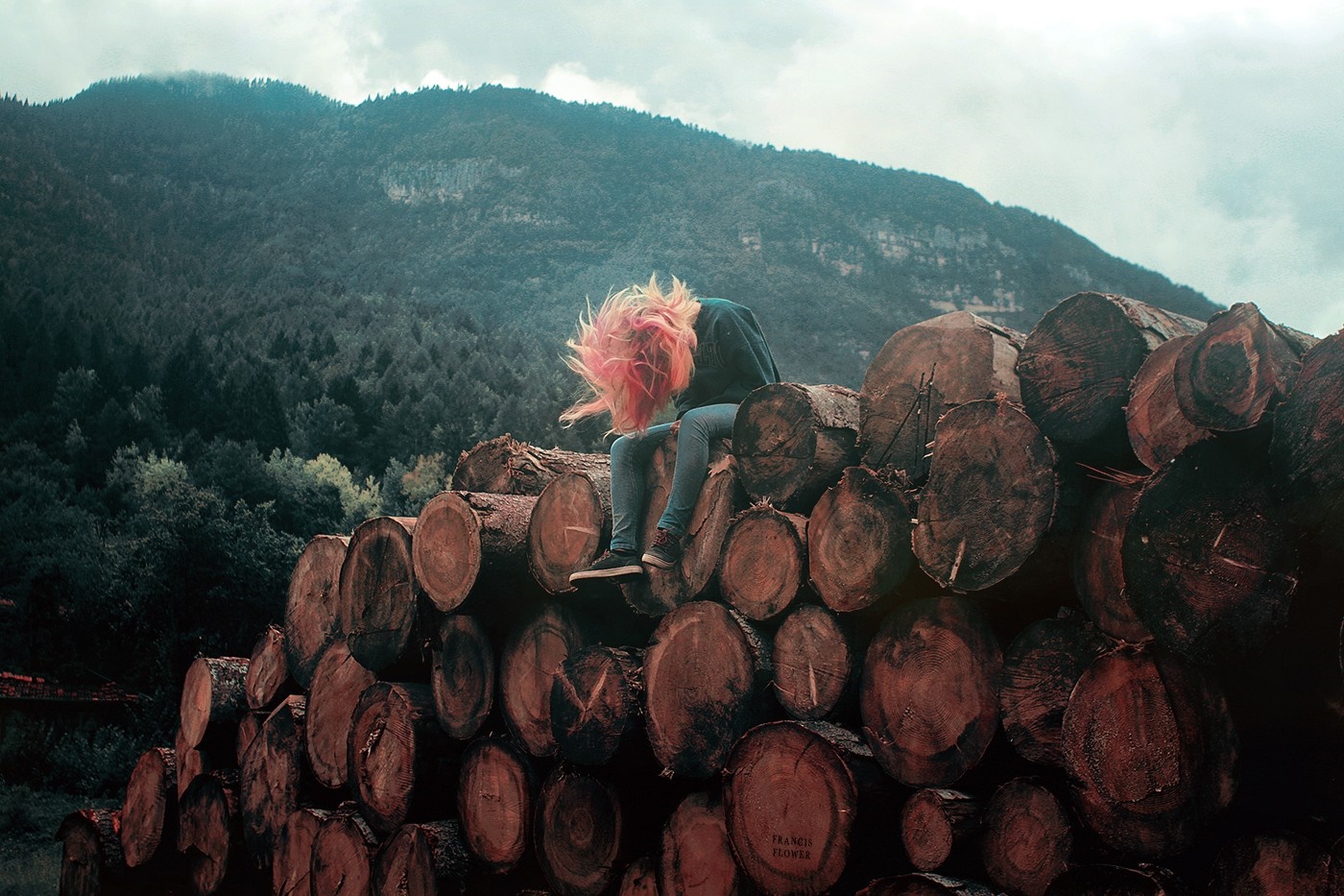 Person with pink hair sitting on logs in front of a forest HD Wallpaper