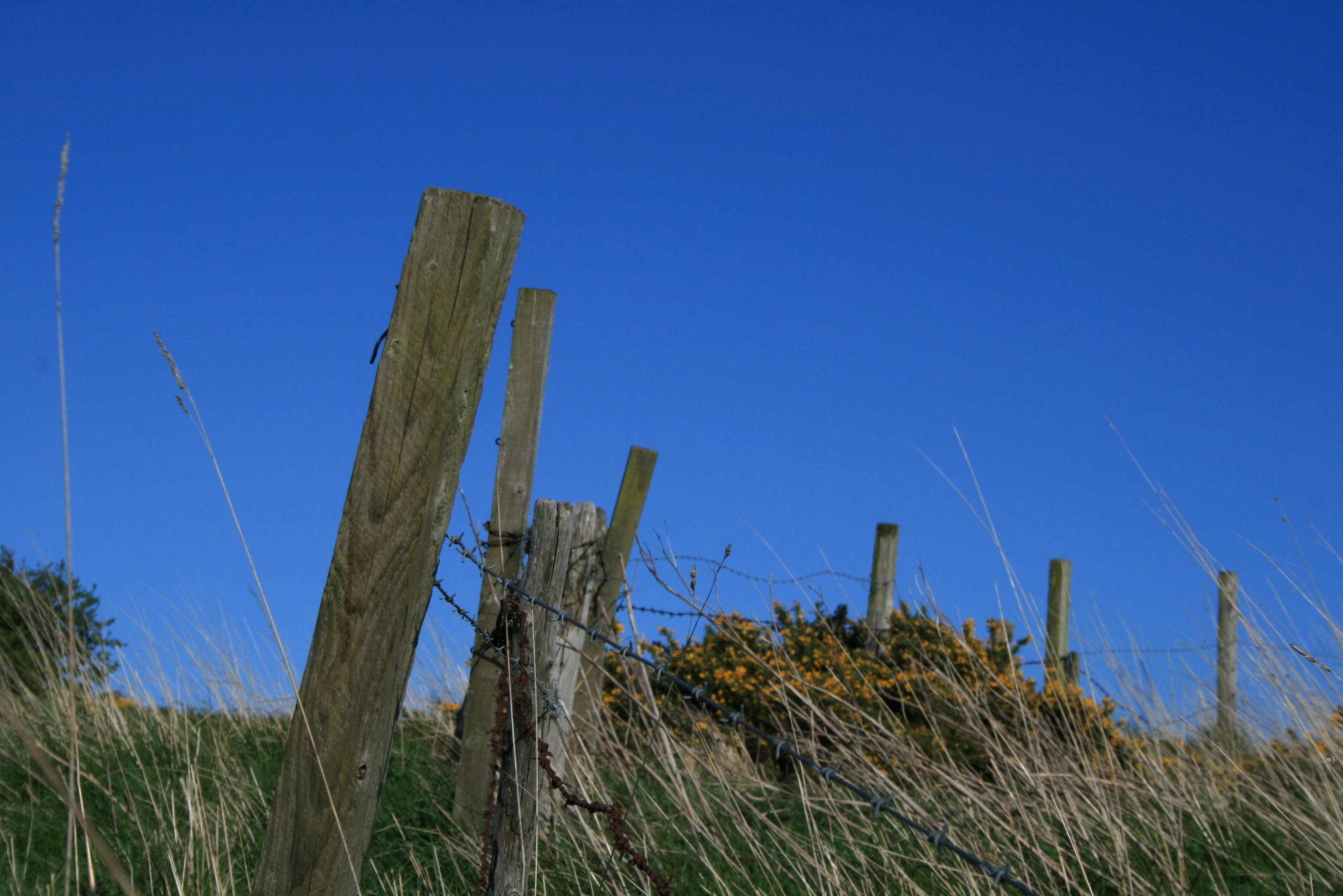 Wooden fence posts with barbed wire in a grassy field under a blue sky HD Wallpaper
