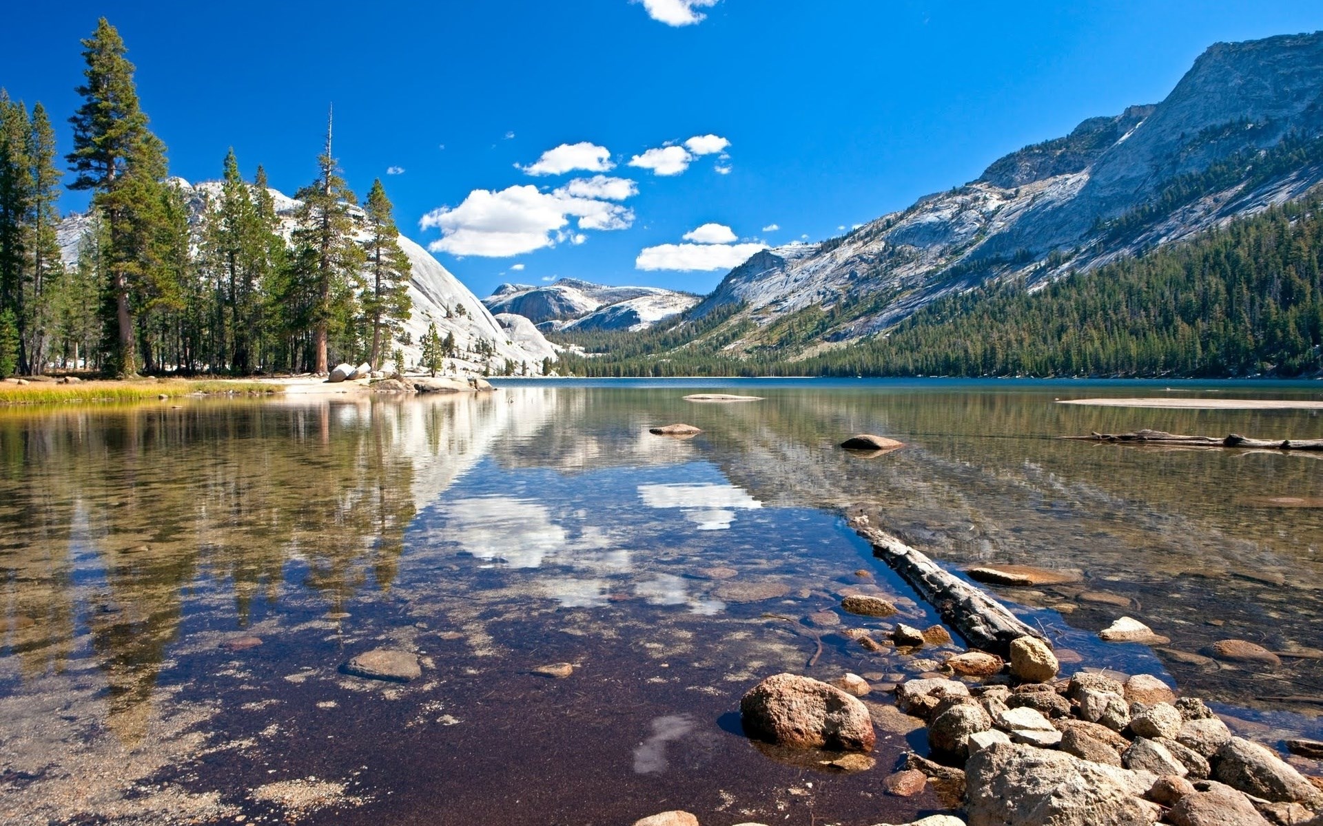 Lake reflection with mountains and pine trees HD Wallpaper