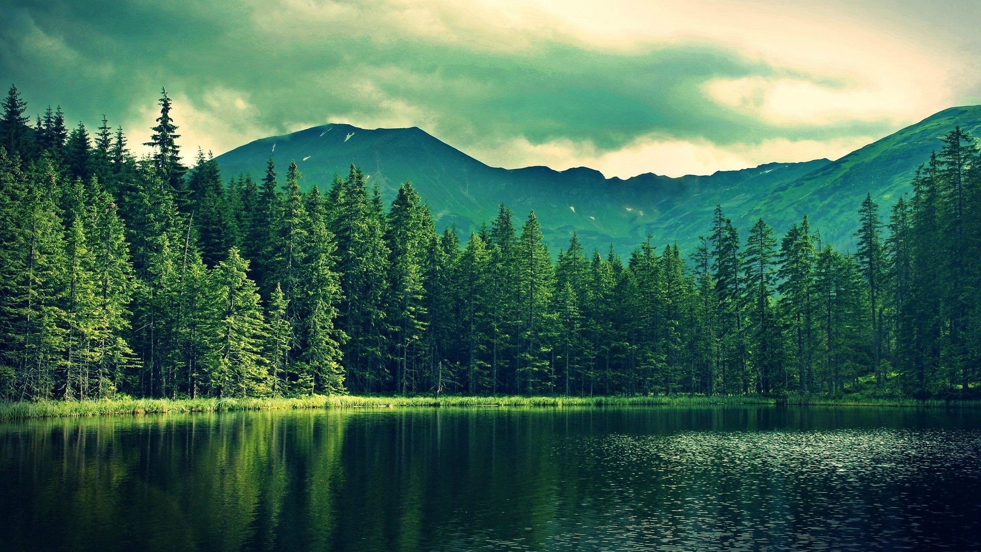 Forest lake with mountains and cloudy sky HD Wallpaper