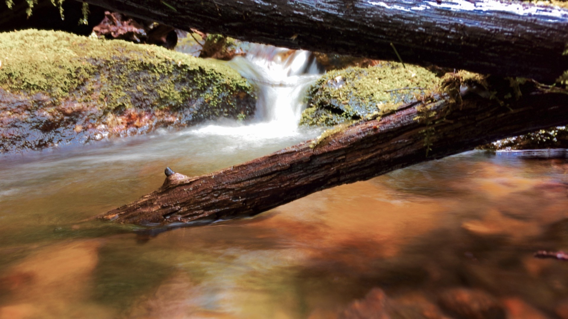 Mossy logs over a flowing stream with a small waterfall HD Wallpaper