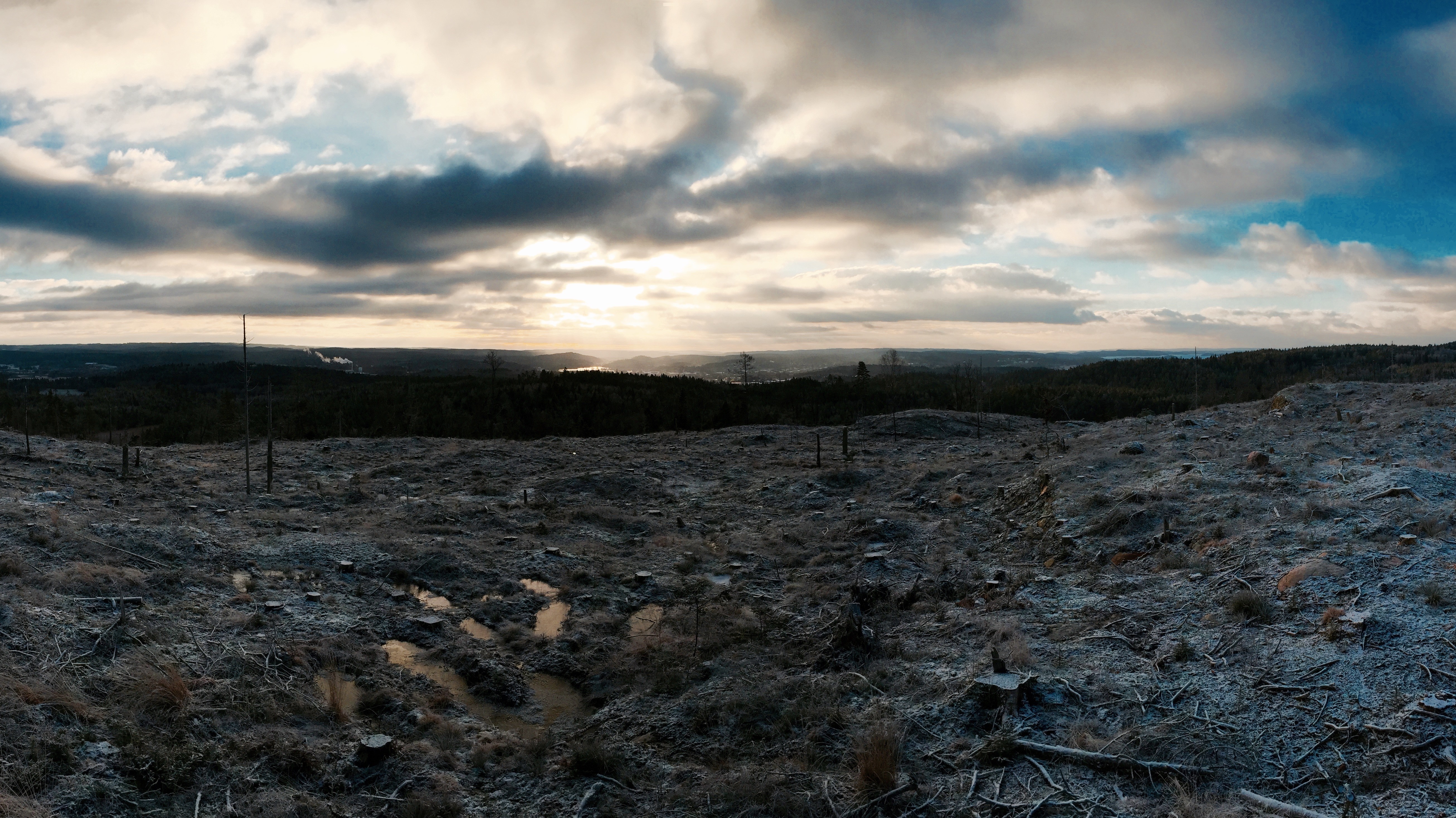 Deforested landscape with clouds at sunset HD Wallpaper