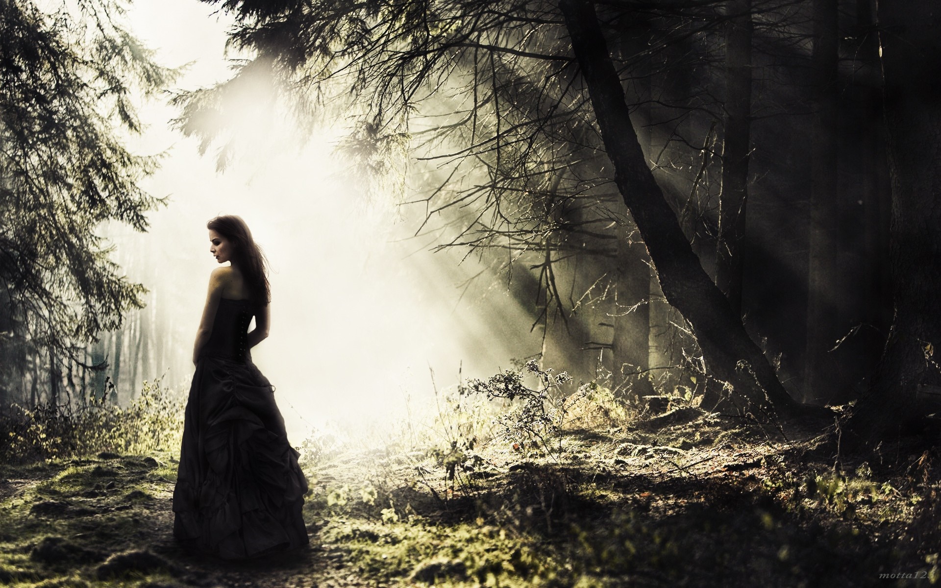 Woman in black dress in sunlit forest HD Wallpaper