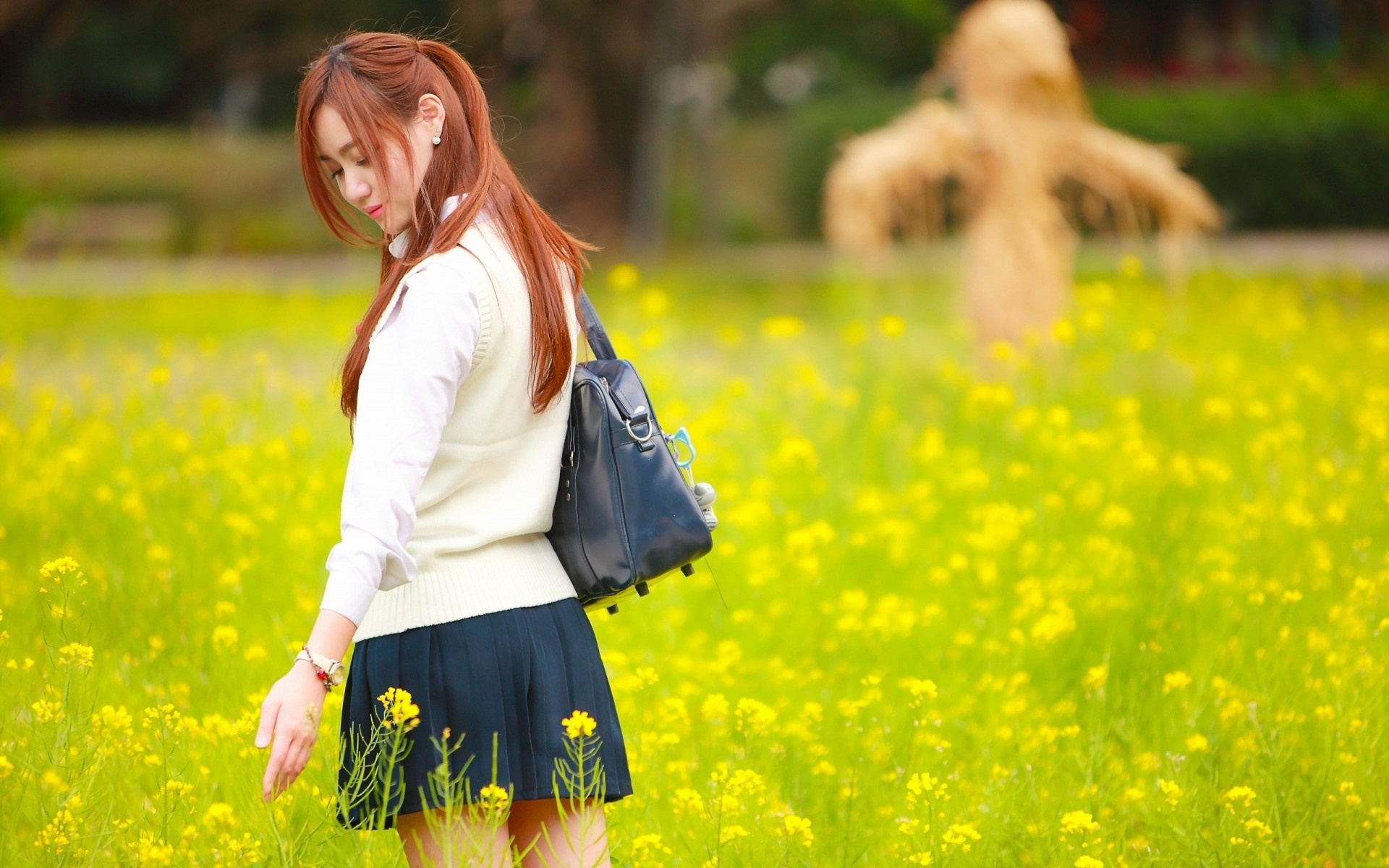 Young woman in a yellow flower field HD Wallpaper