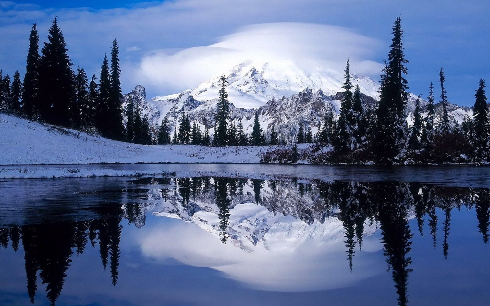 Snowy mountain reflected in a lake with pine trees HD Wallpaper