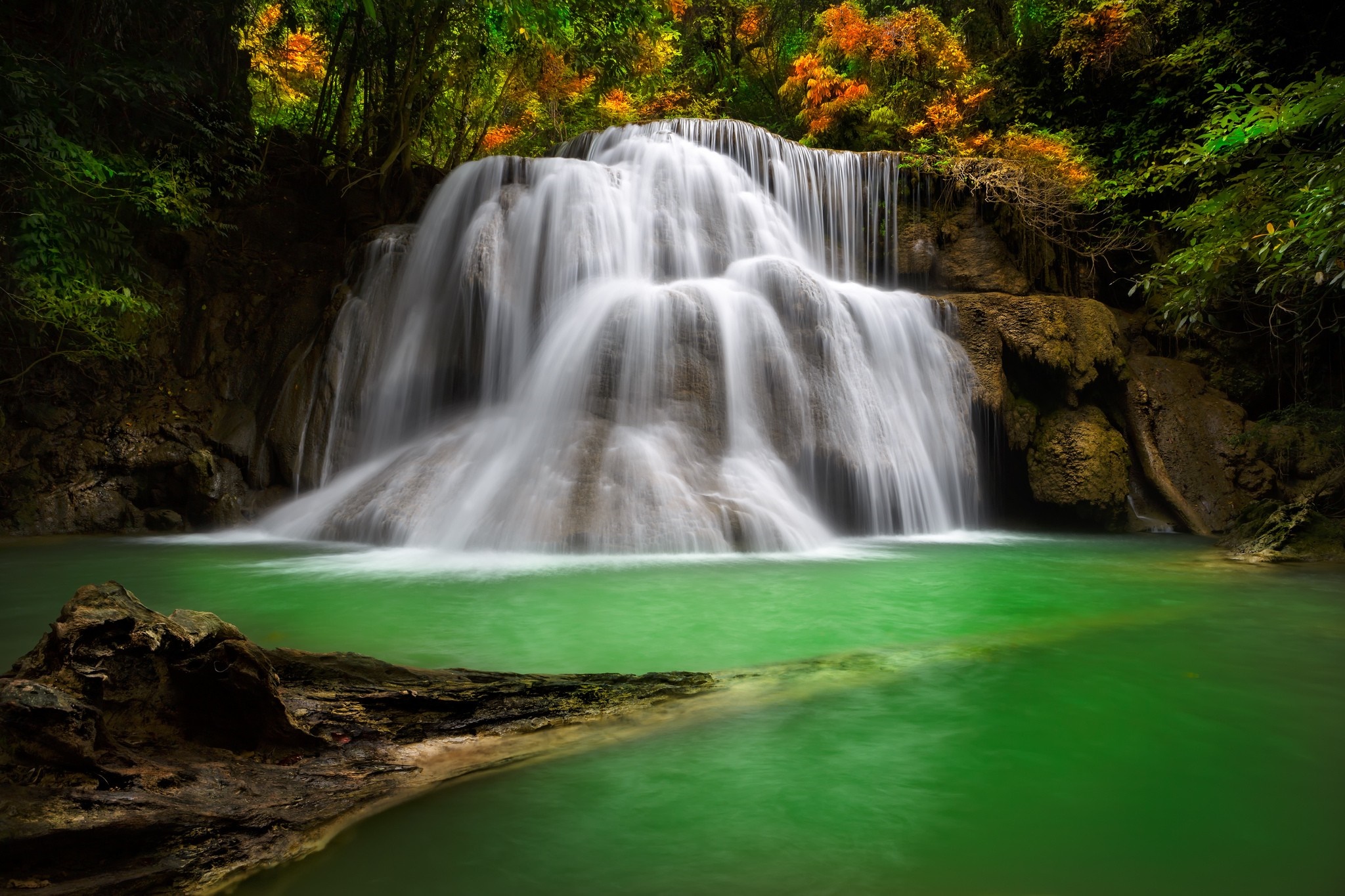 Waterfall cascading into a green pool with autumn foliage HD Wallpaper