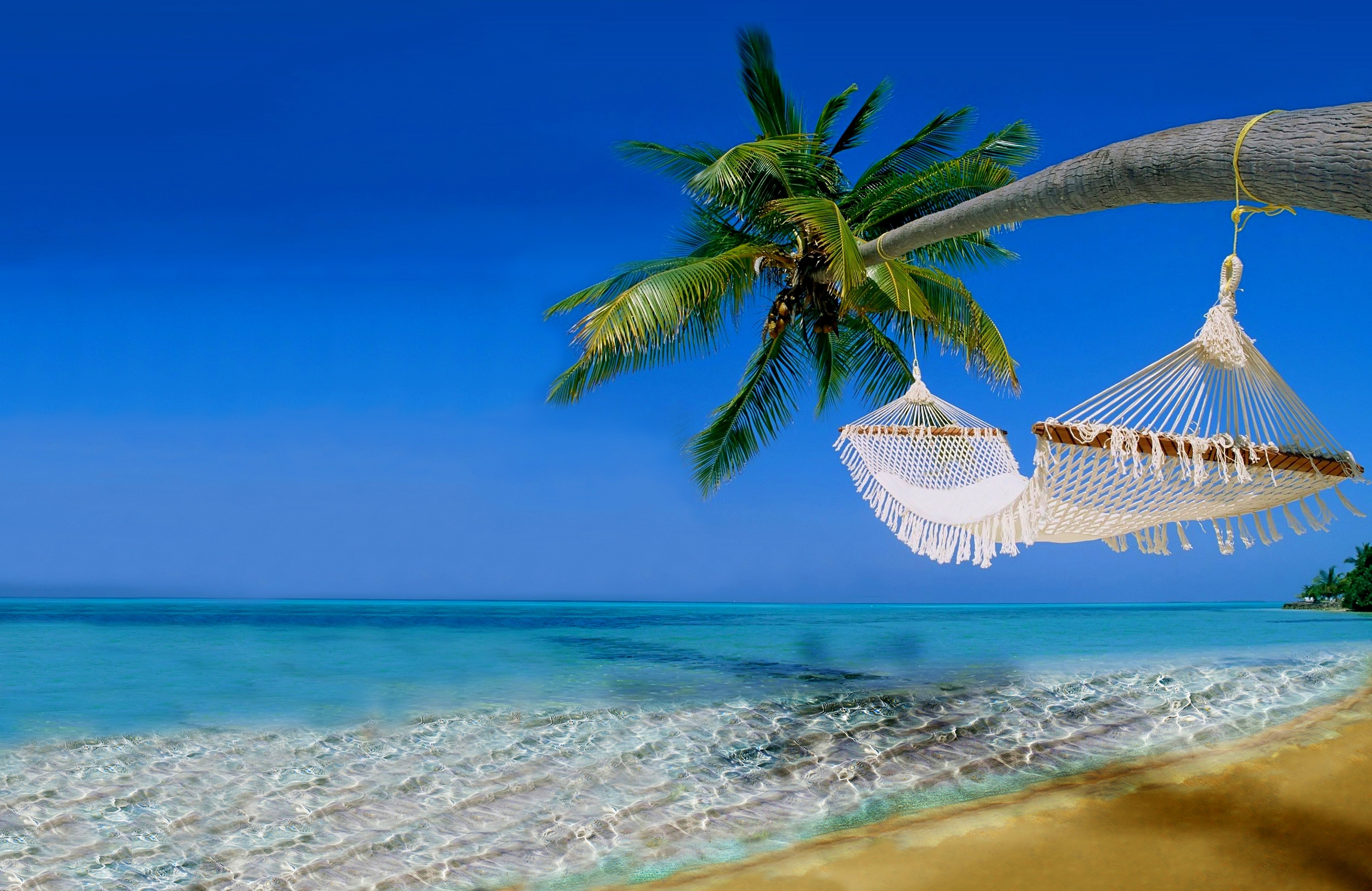 Hammocks hanging from a palm tree over a tropical beach HD Wallpaper