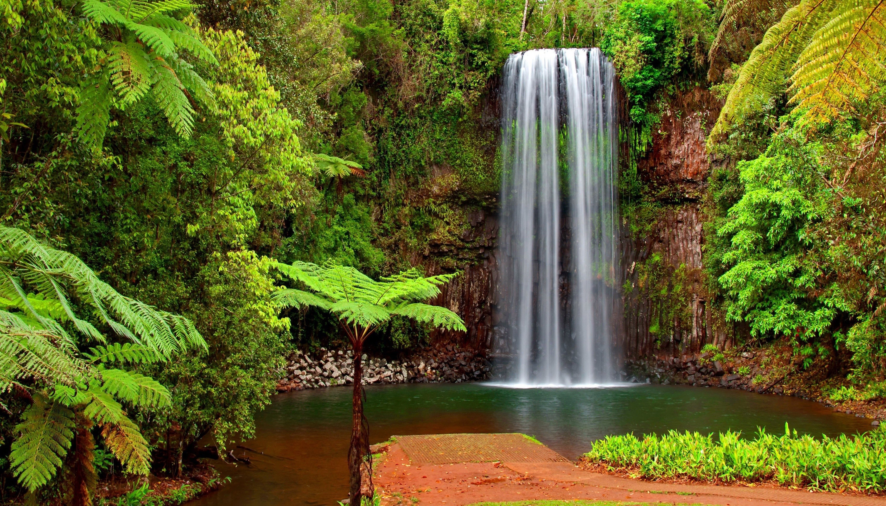 Serene Green Waterfall in Lush Forest HD Wallpaper