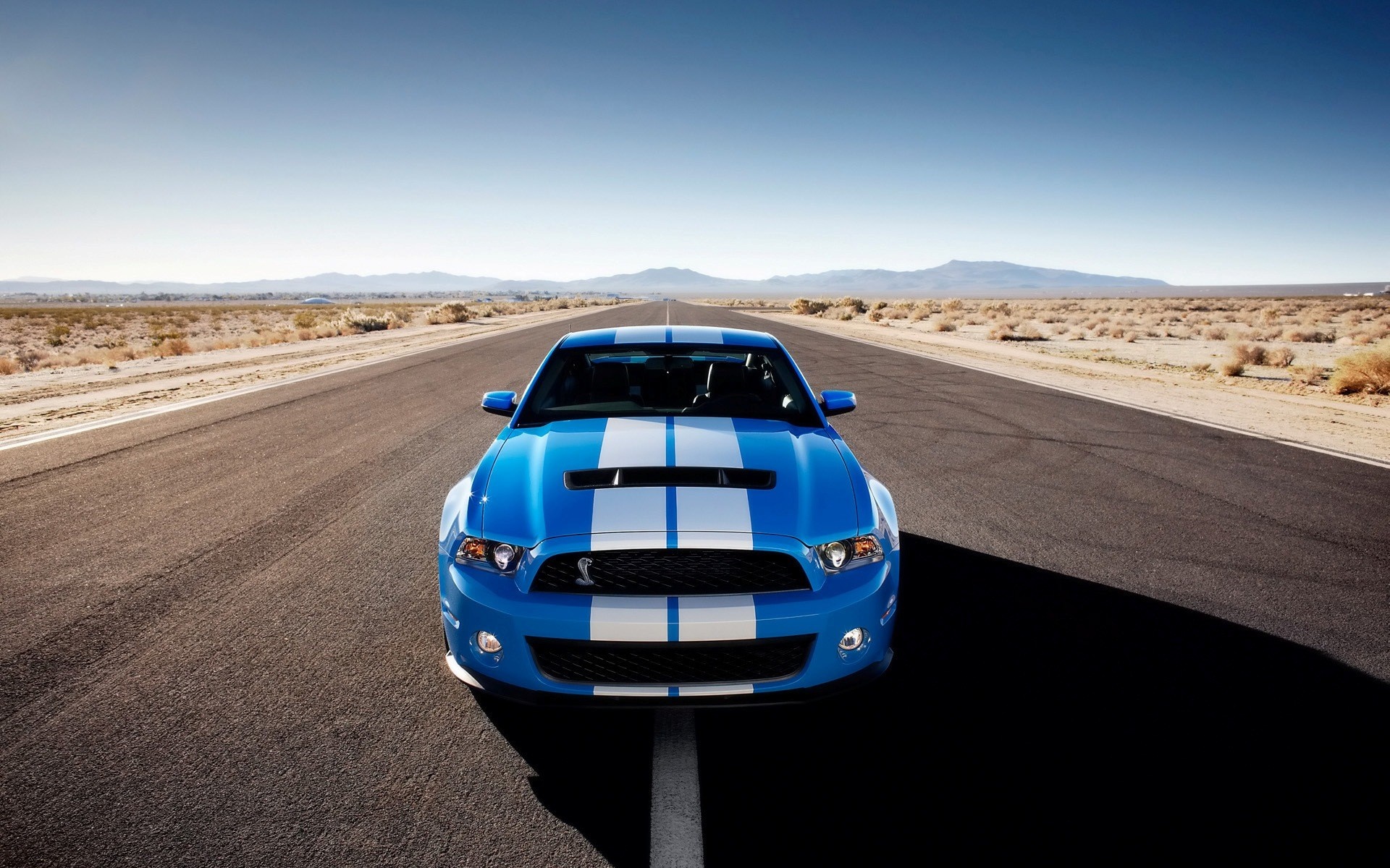 Blue Shelby GT500 Mustang on a desert road HD Wallpaper