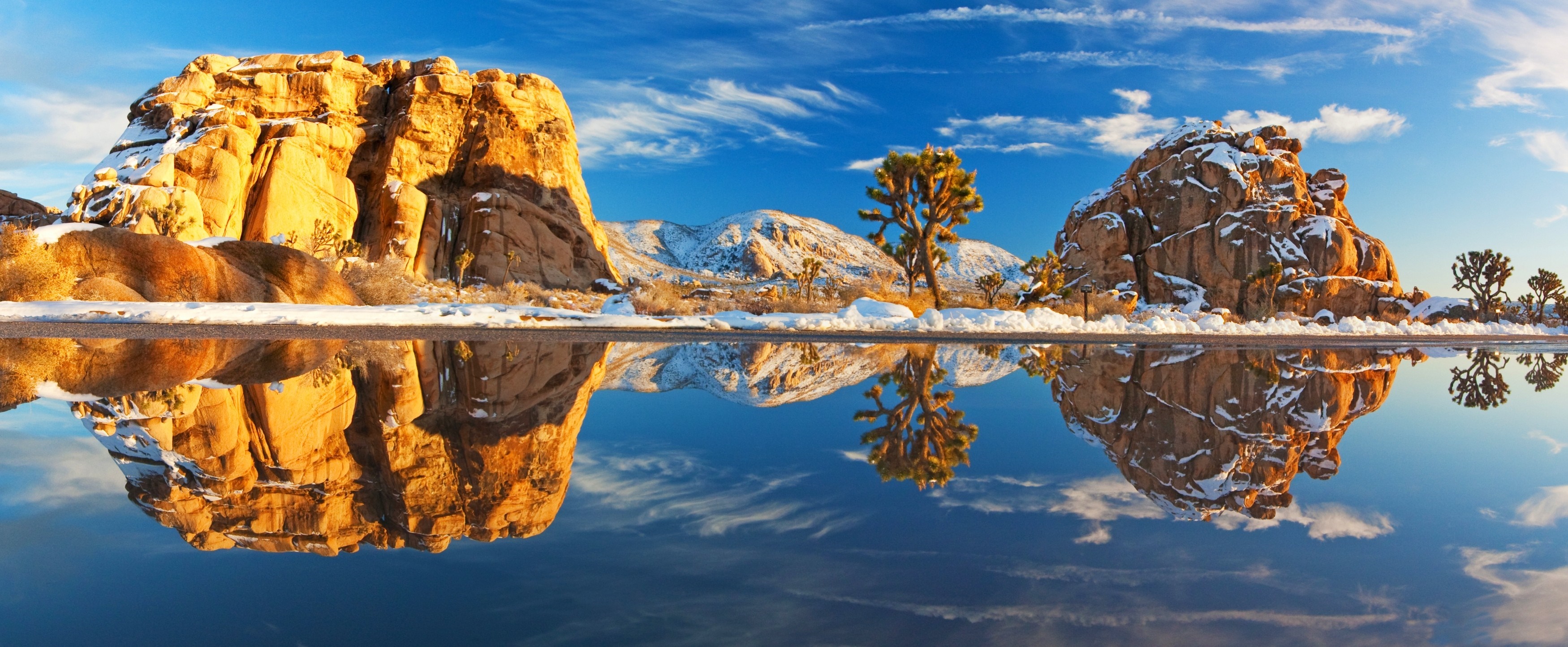 Snow-covered rocks and Joshua trees reflected in water HD Wallpaper
