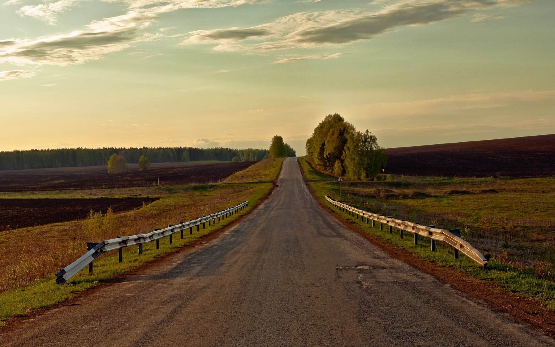 Empty road leading to a distant horizon with trees and fields HD Wallpaper