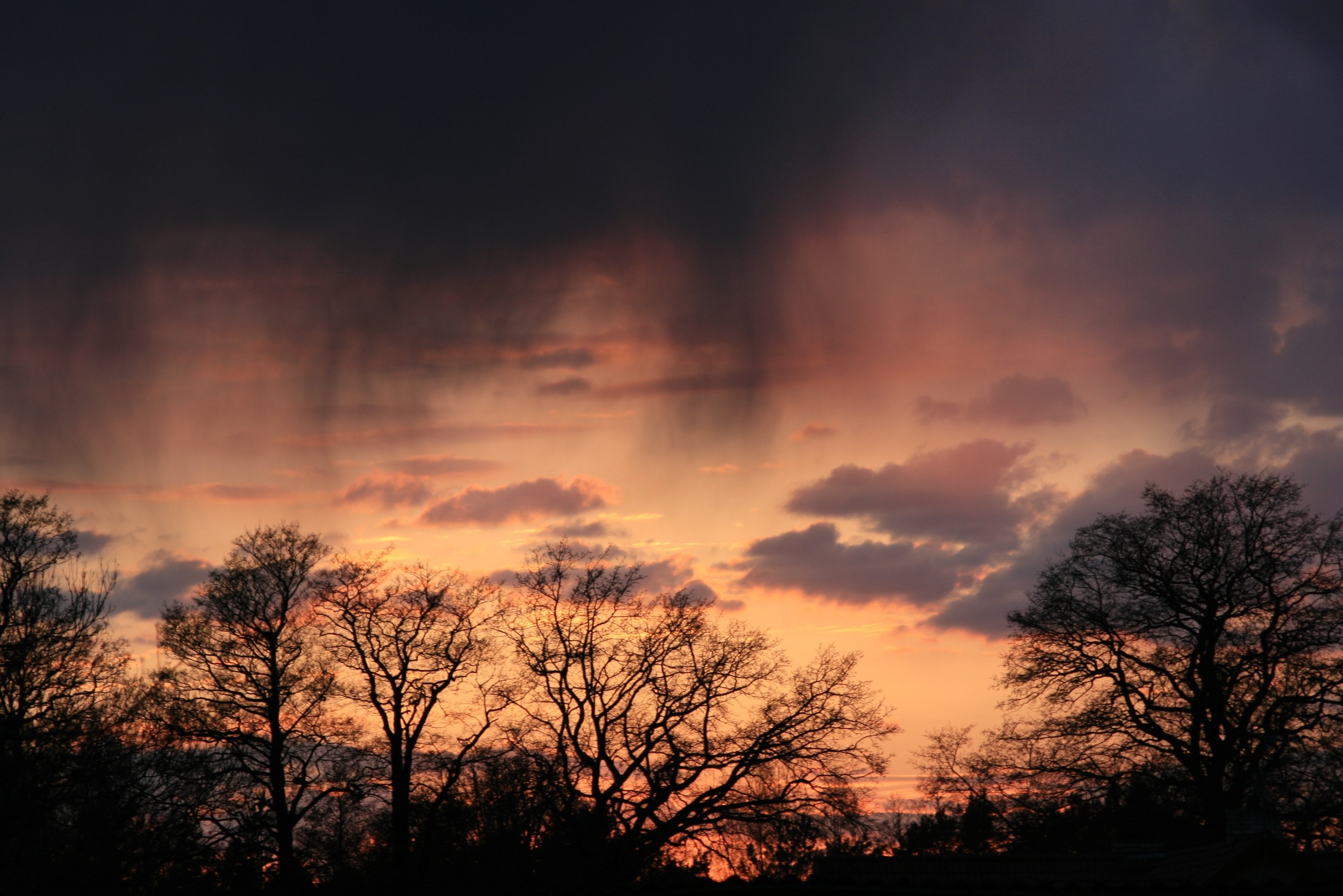 Sunset with rain streaks over silhouetted trees HD Wallpaper