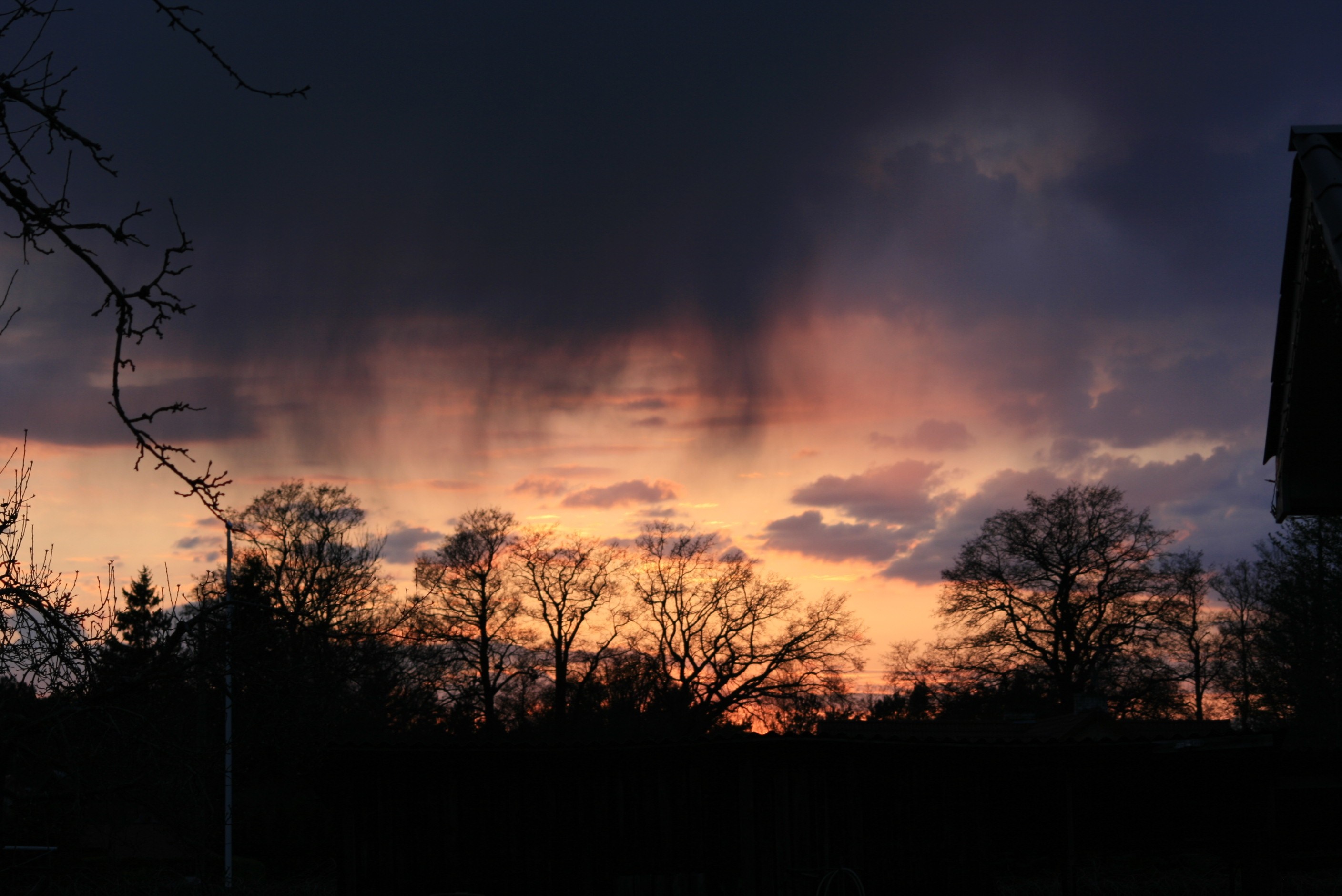 Sunset with rain falling through clouds over trees HD Wallpaper