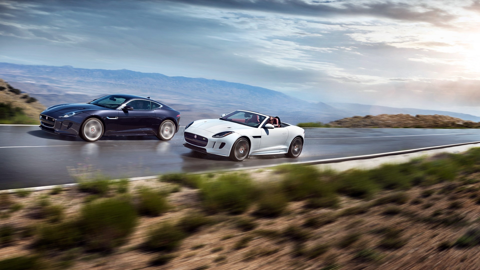 Two Jaguar F-Type cars on a road HD Wallpaper