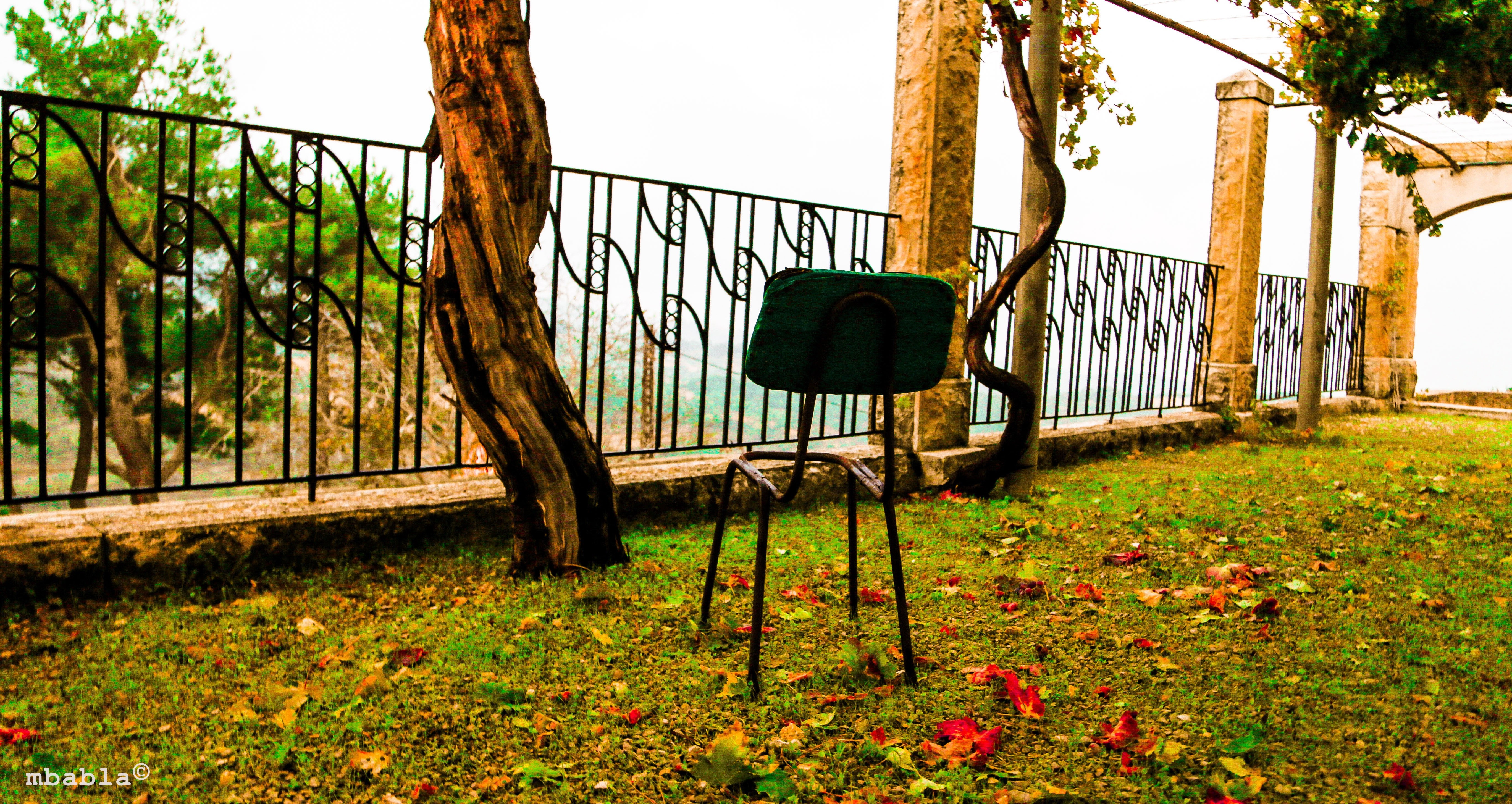 An empty chair in an autumn garden with fallen leaves HD Wallpaper