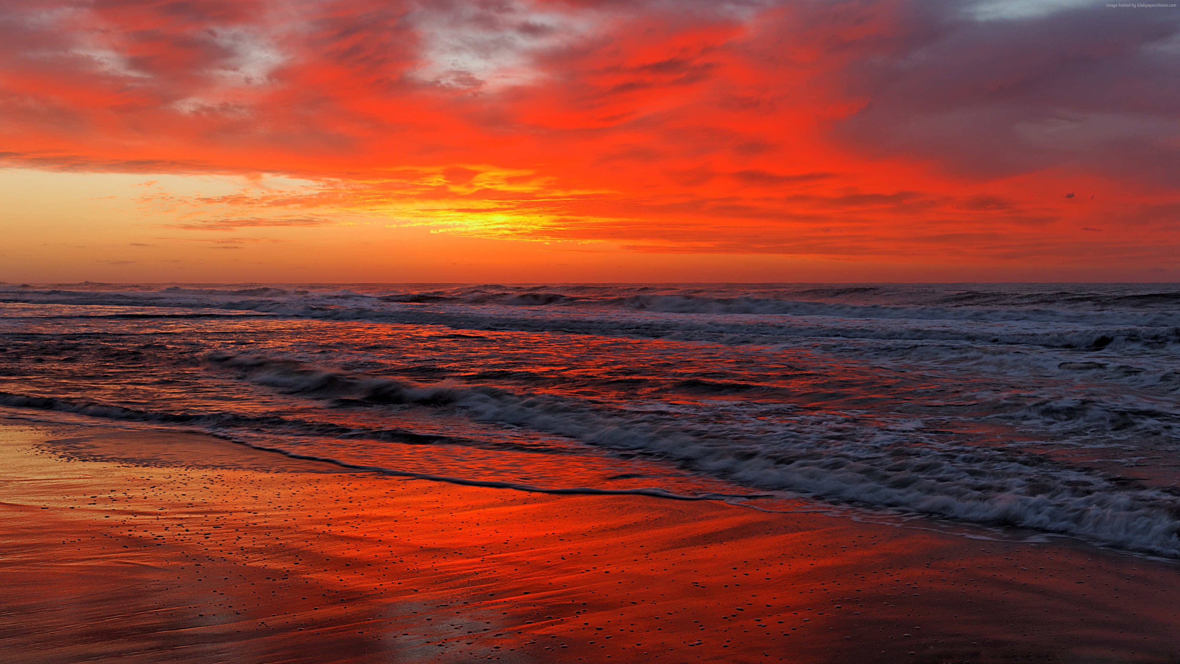 shore, Ocean, sea, beach, sunset, 4k, 5k HD Wallpaper