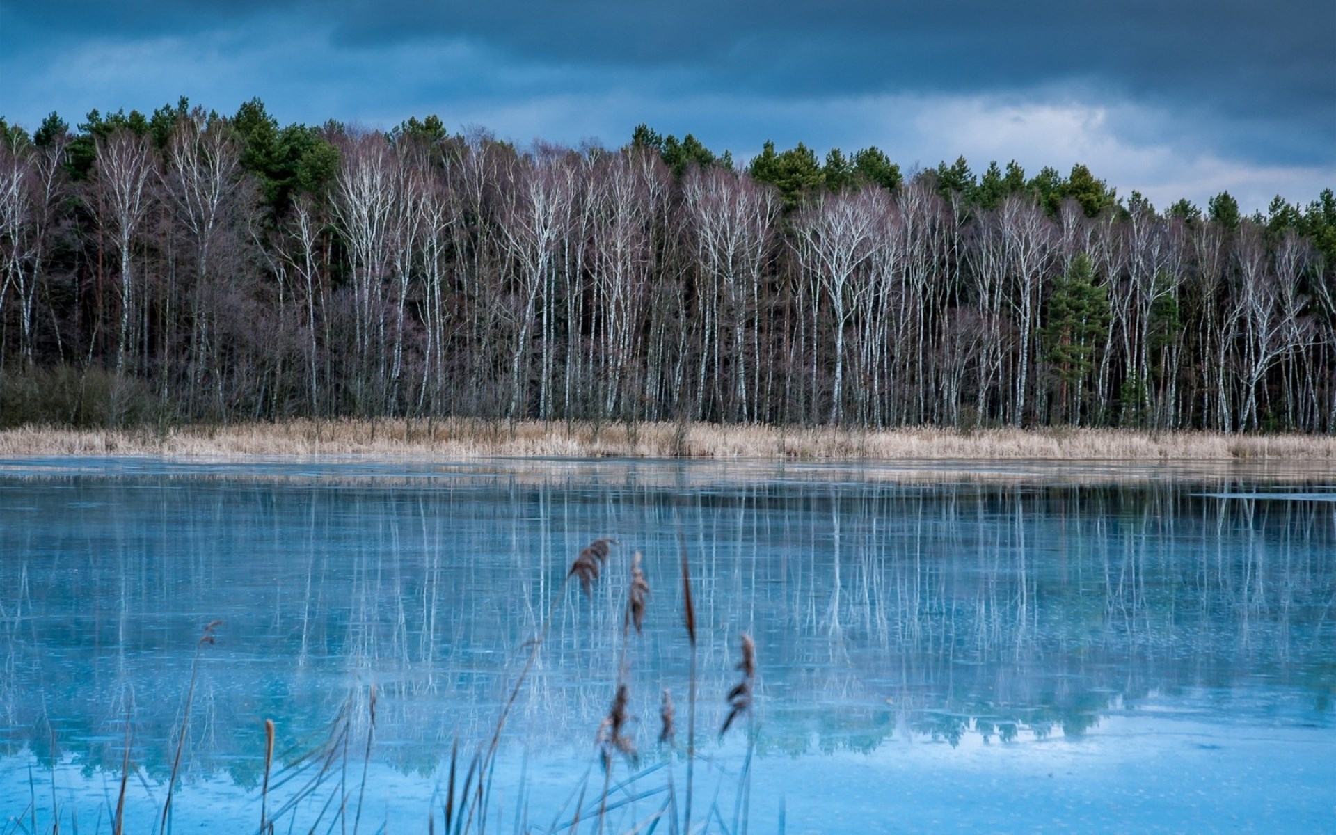 Frozen lake reflecting a forest under a cloudy sky HD Wallpaper