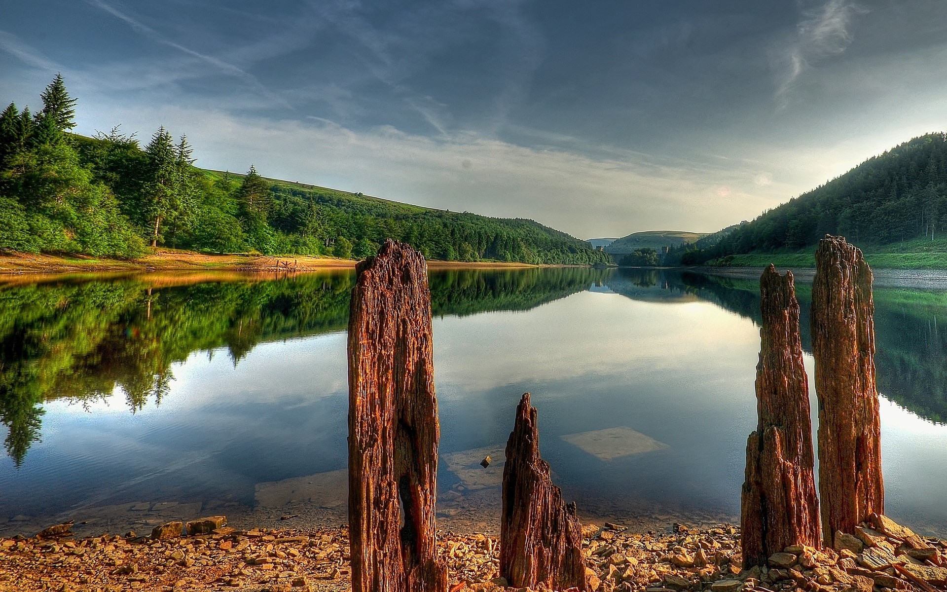 Wooden posts in a lake with forested hills HD Wallpaper