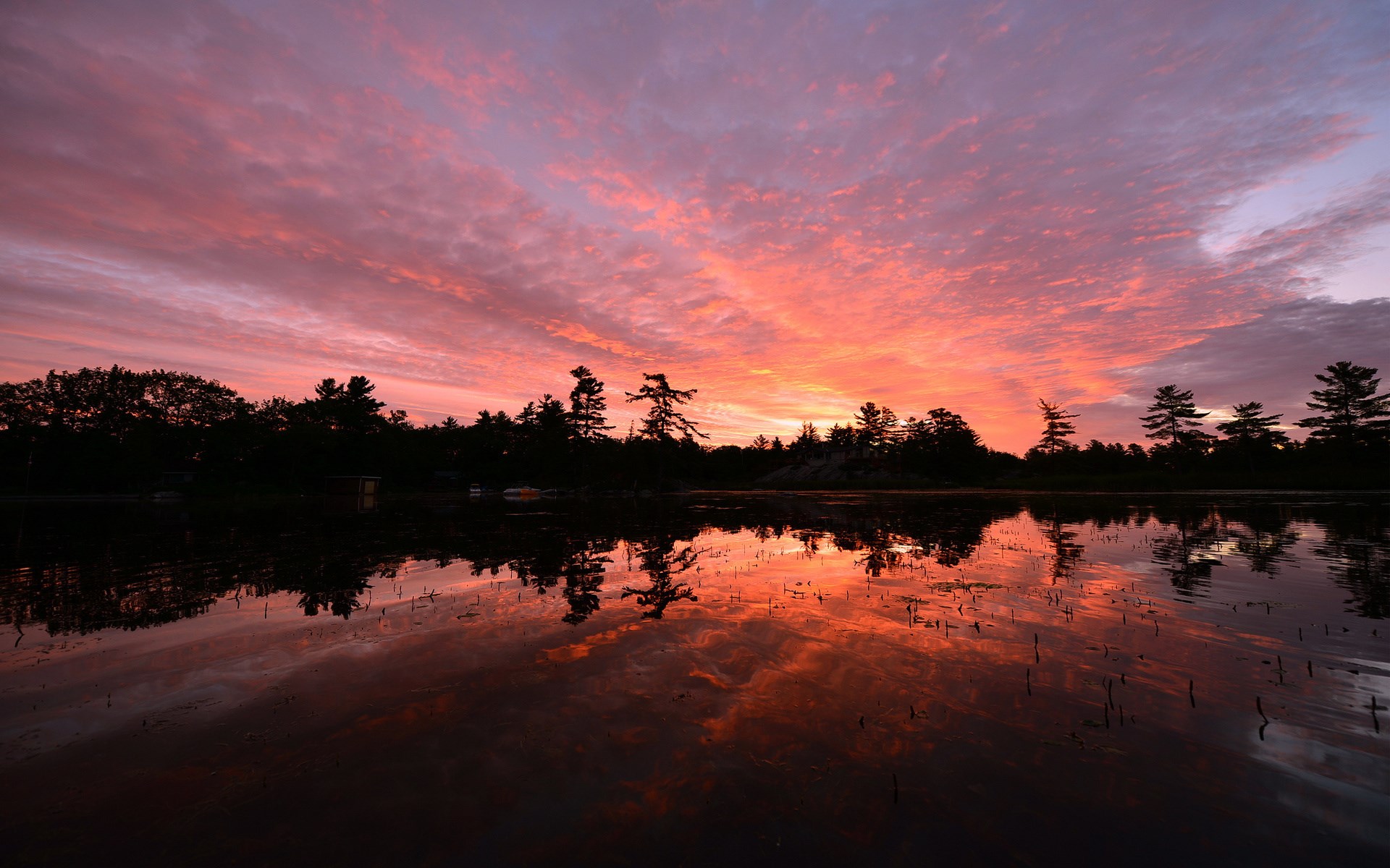Sunset over a lake with silhouetted trees HD Wallpaper