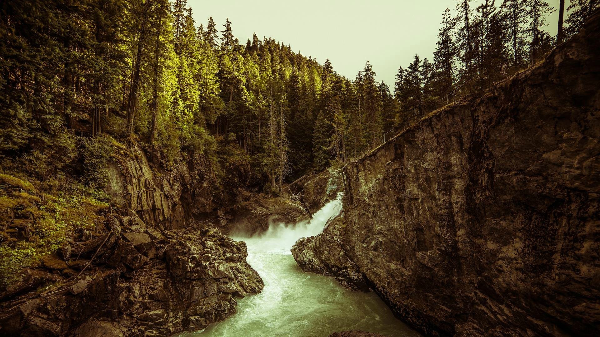 Waterfall flowing through a rocky forest canyon HD Wallpaper