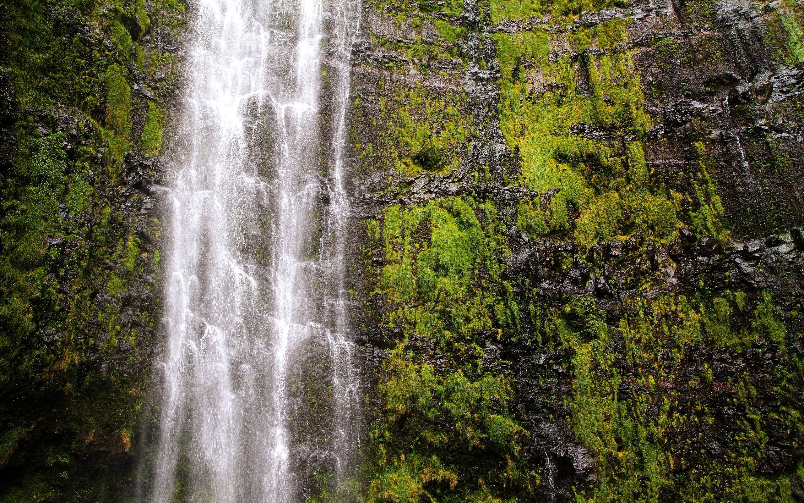 Waterfall cascading down a moss-covered rocky cliff face HD Wallpaper