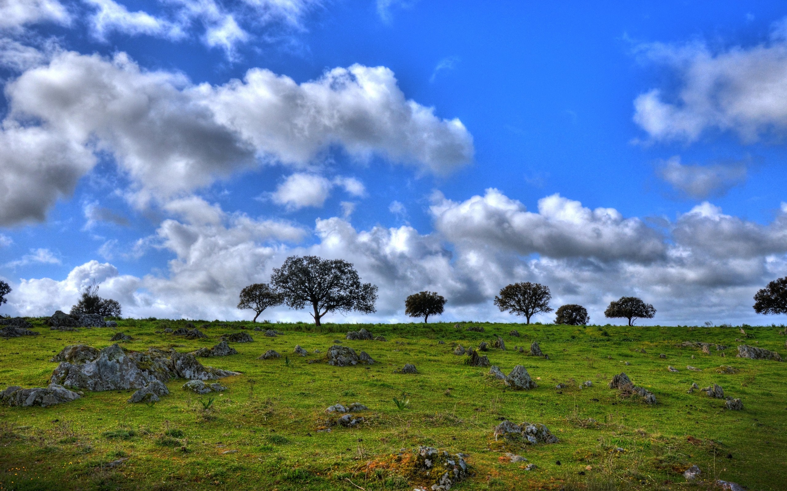 Green hill with trees under a cloudy blue sky HD Wallpaper