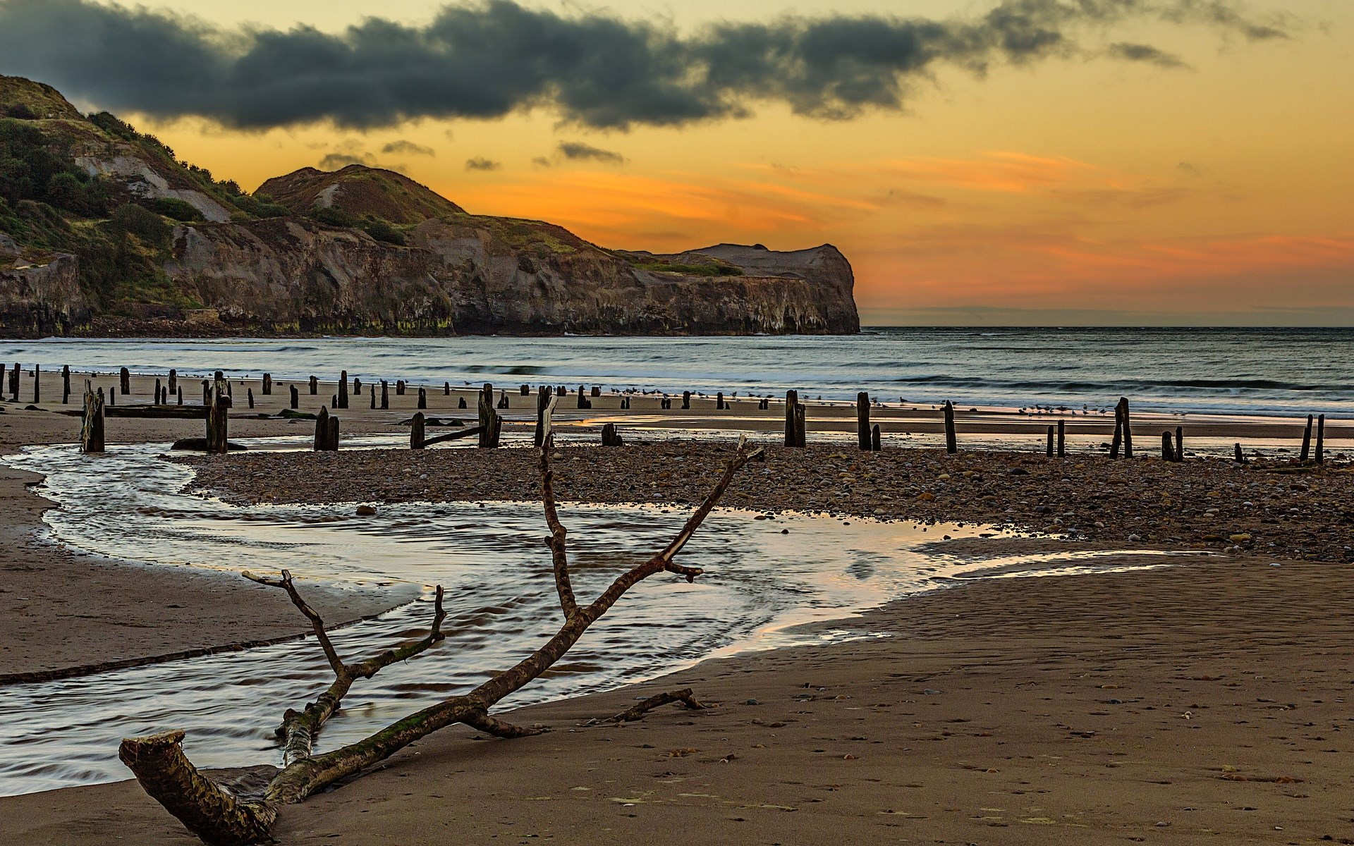 Beach with driftwood and old pilings at sunset HD Wallpaper