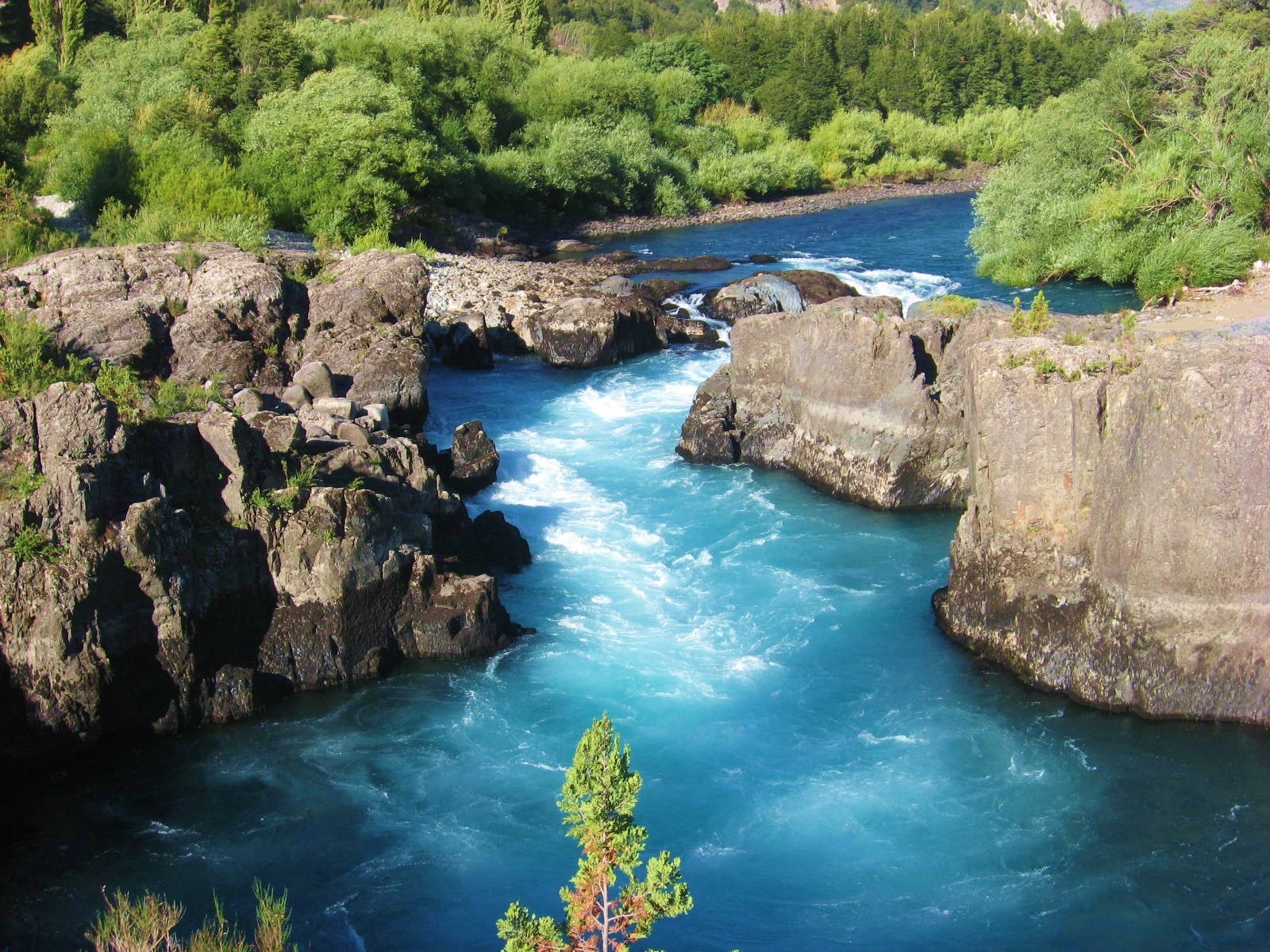 Turquoise river flowing through rocky terrain with green trees HD Wallpaper
